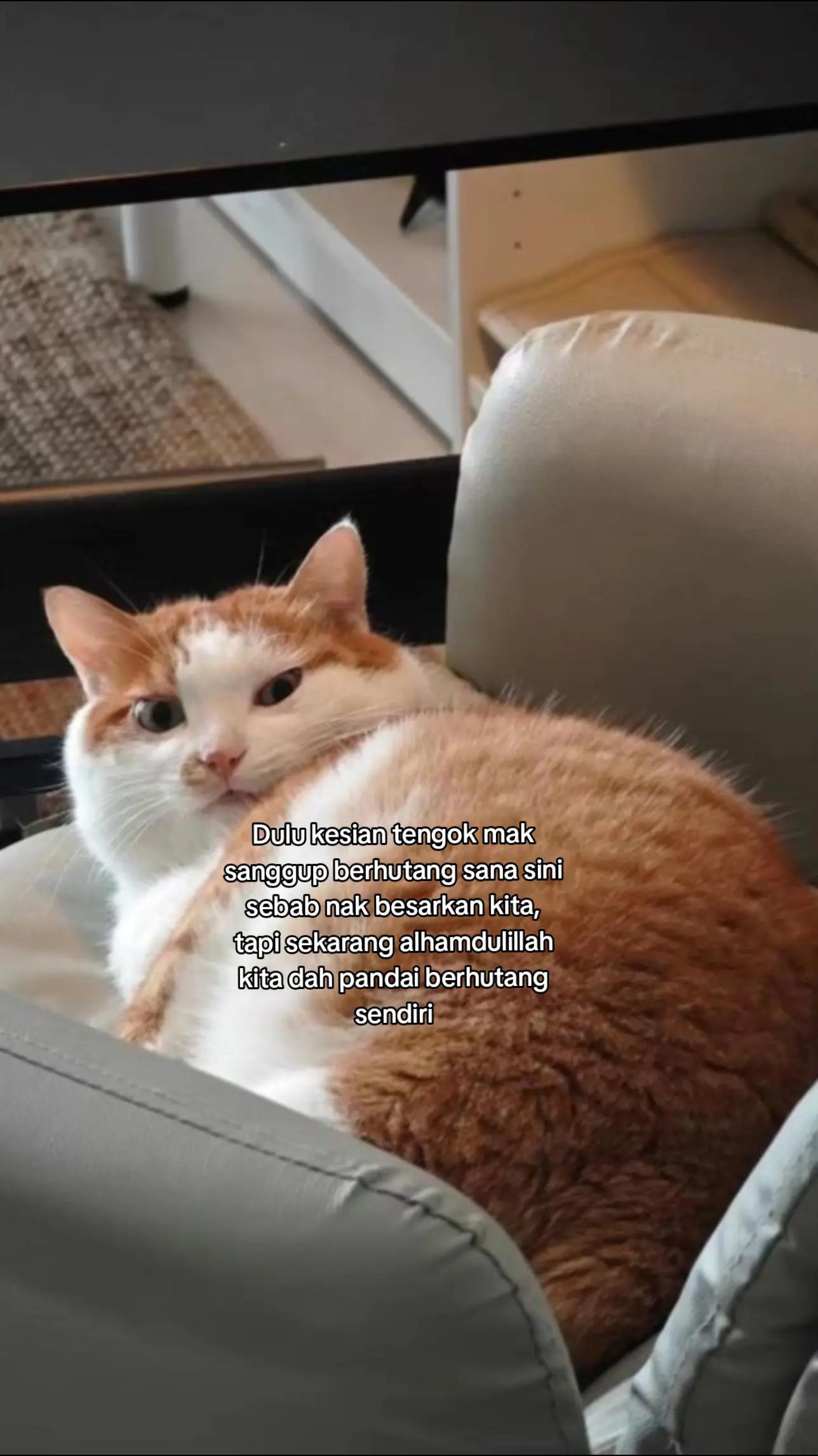 @M A N