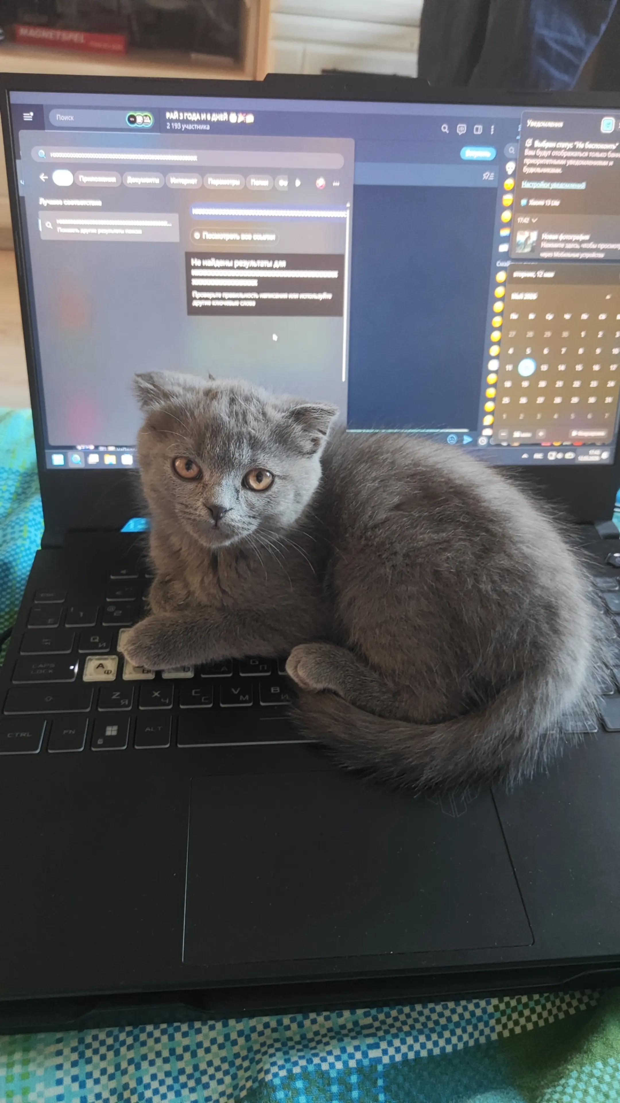 @артём