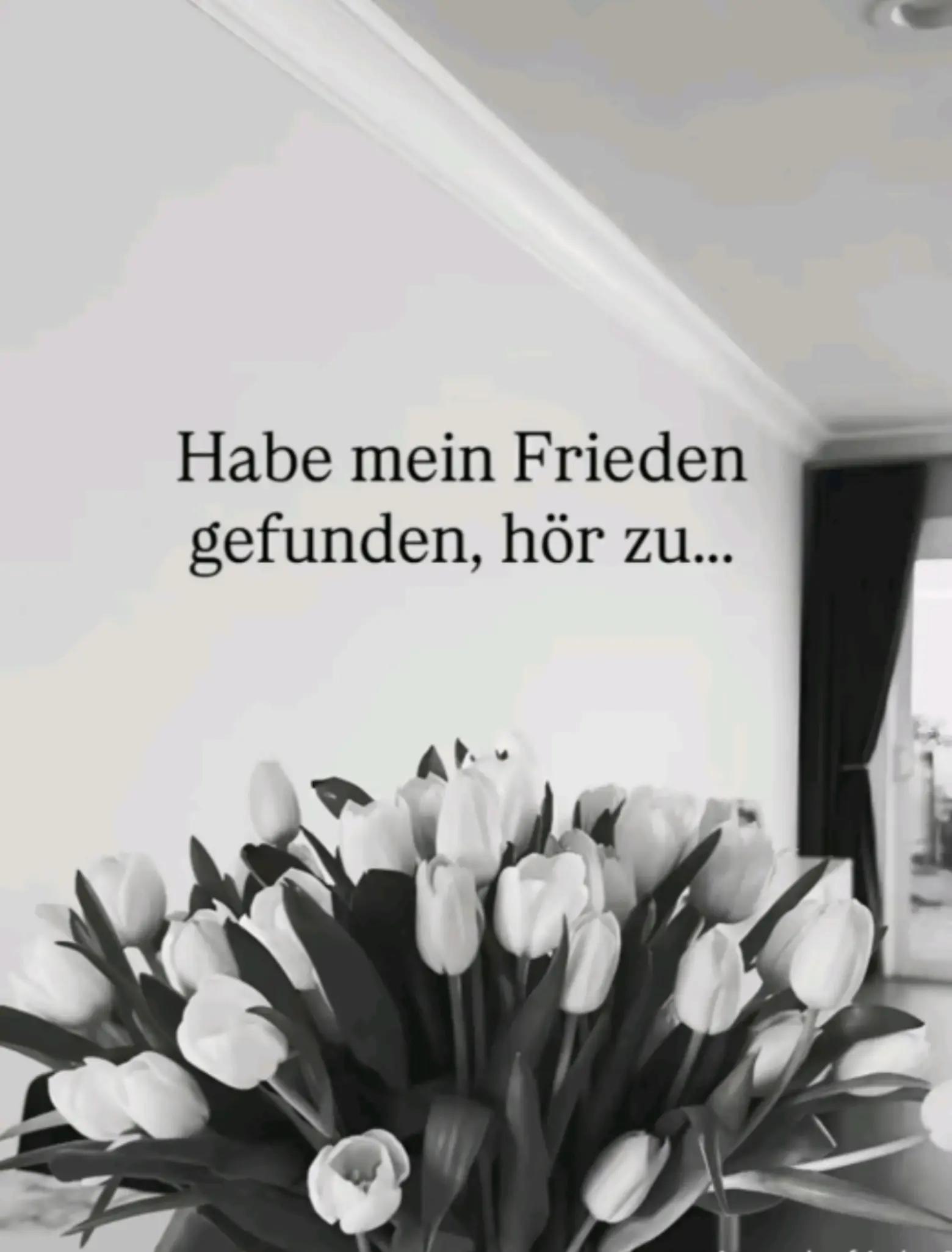 @1981