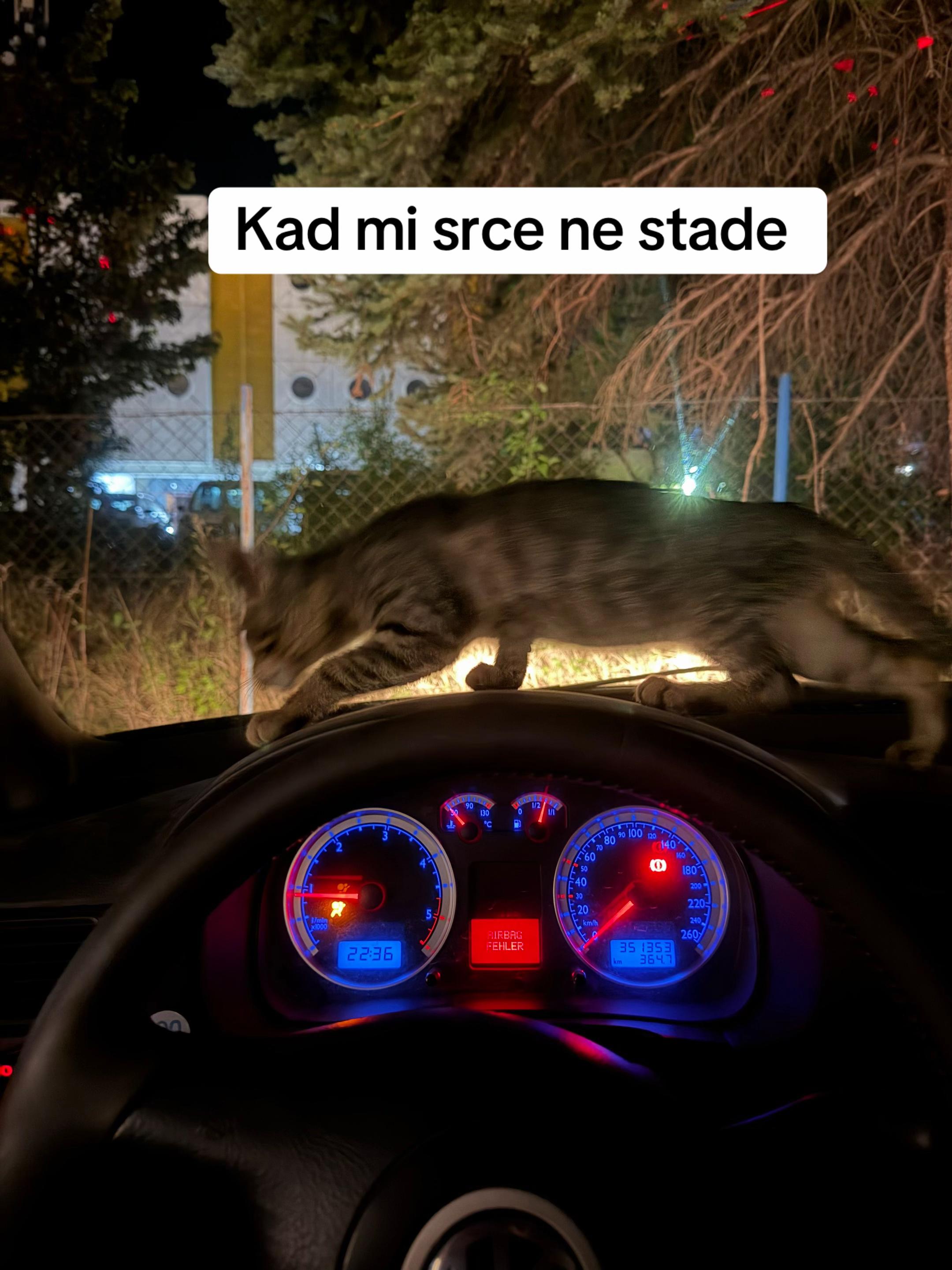 @luka