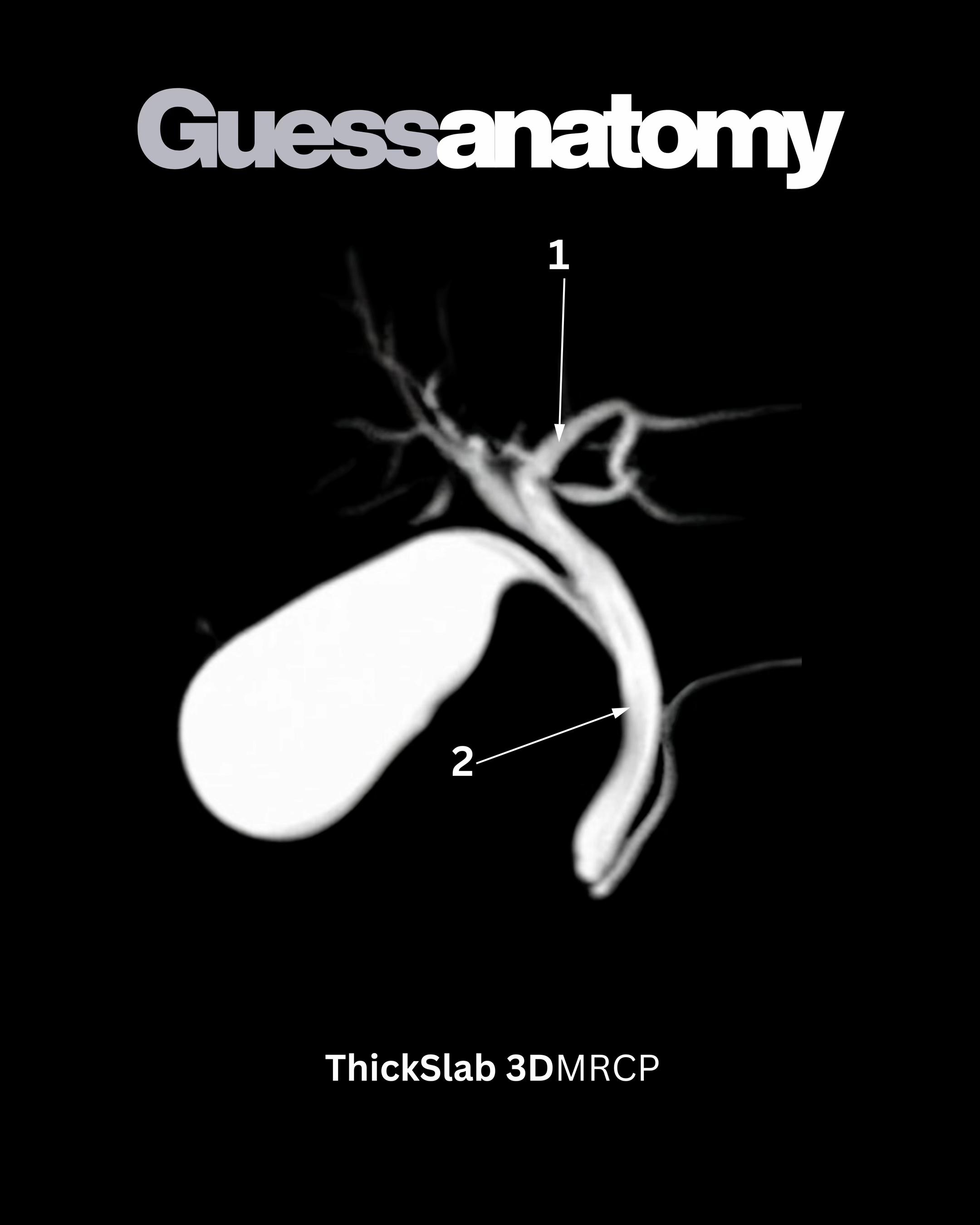 @Sobat Radiology