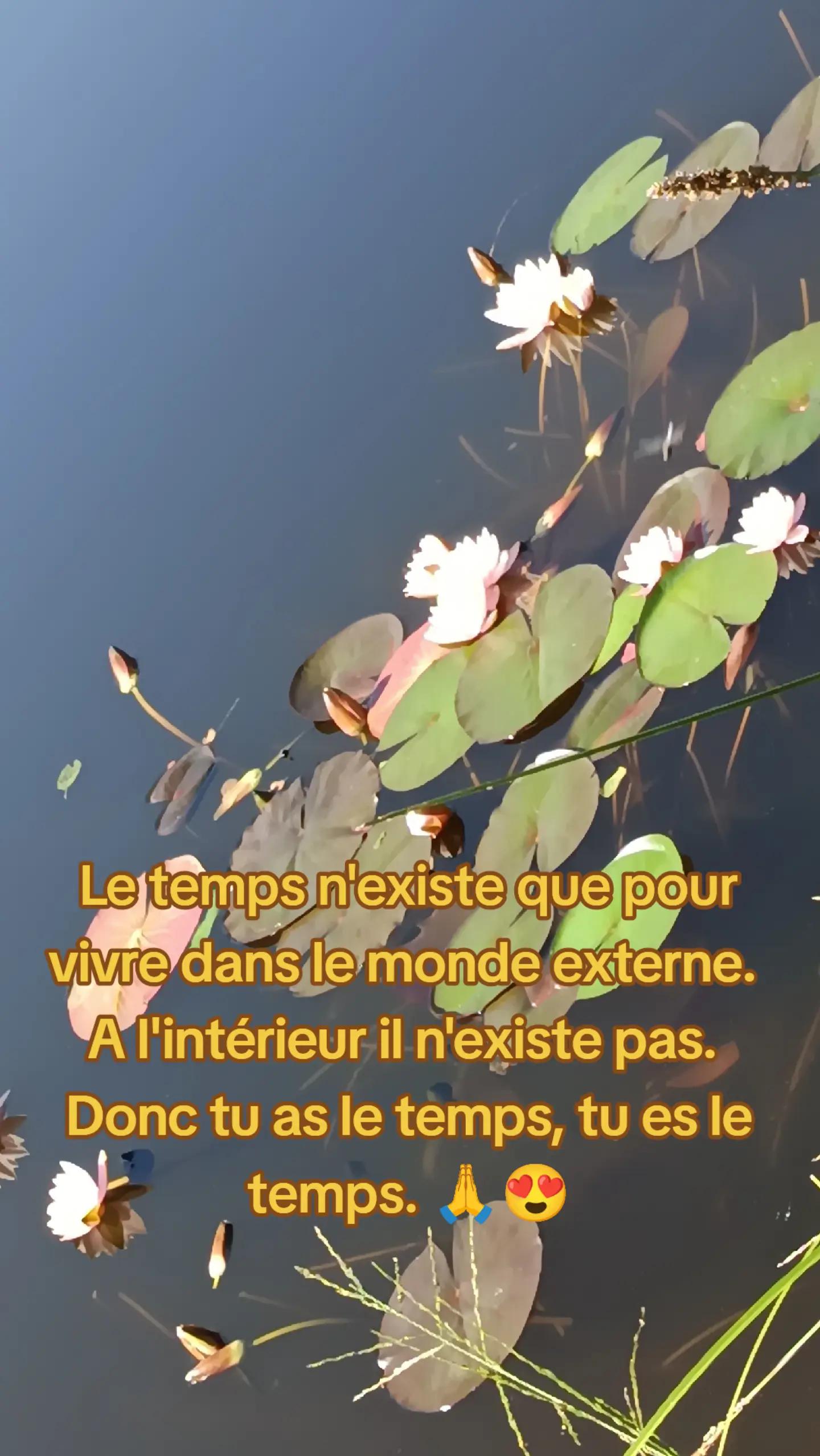 @tifolette