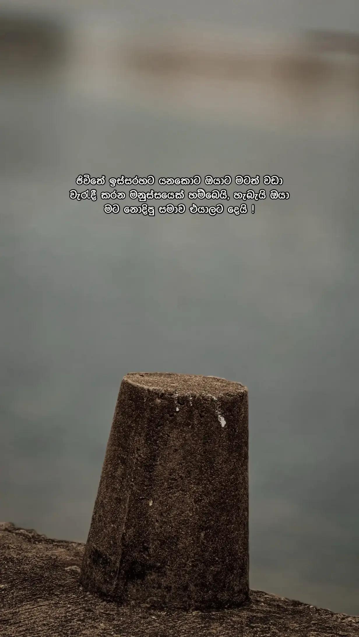 @𝓡αѕι 🧸'