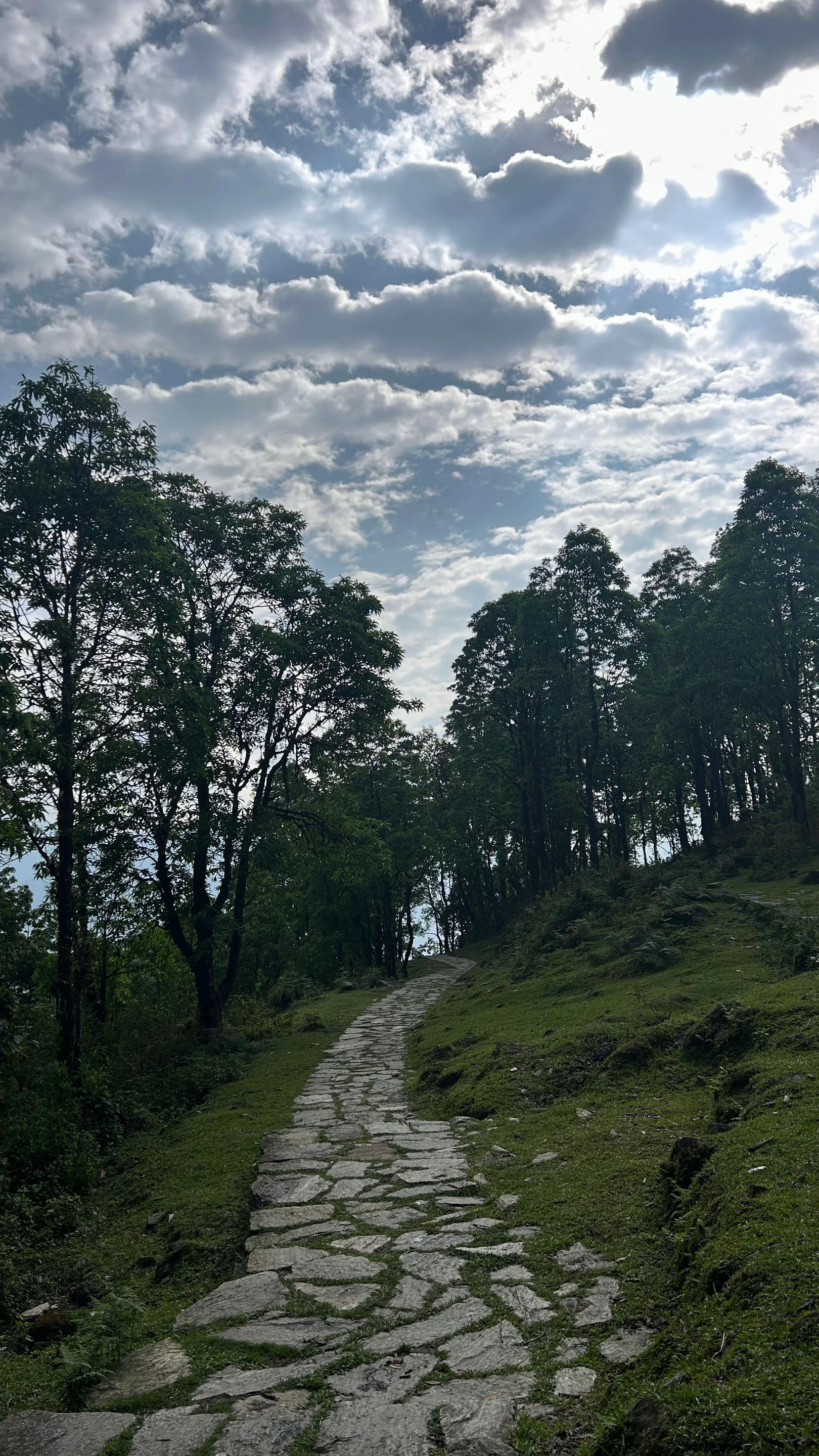 @श्रेया🌙