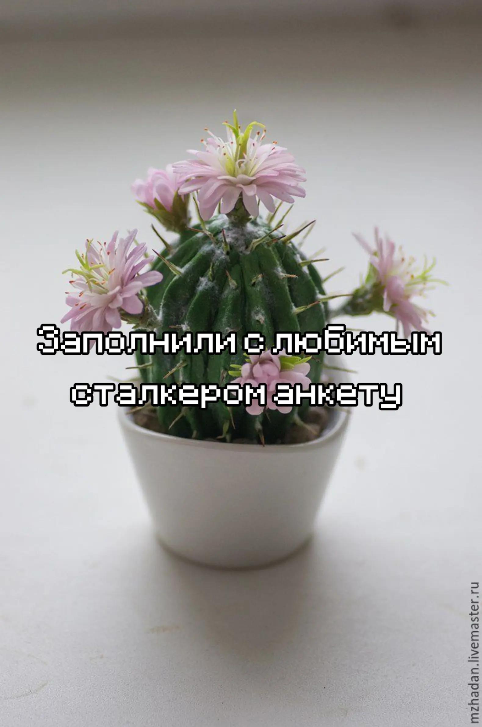 @Дрелька [nu]