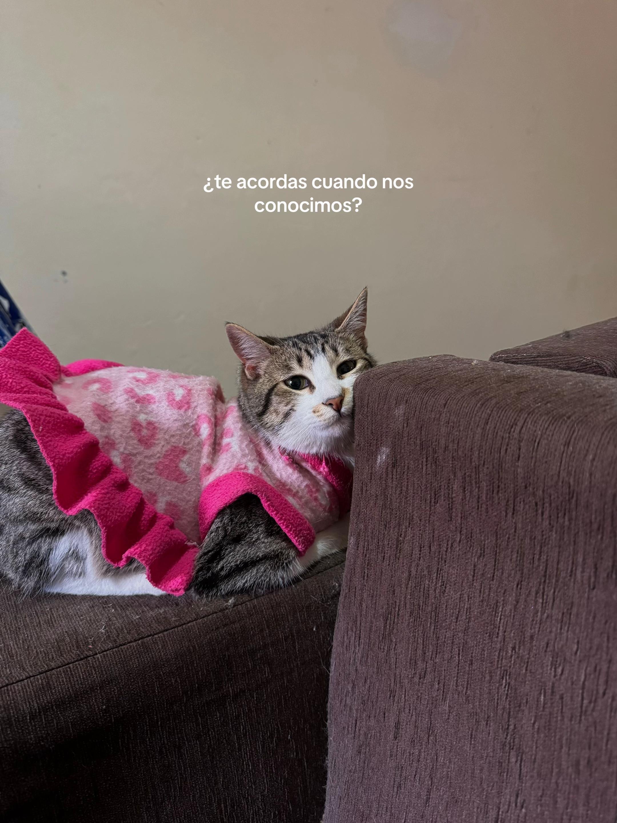 @Lucila Castro