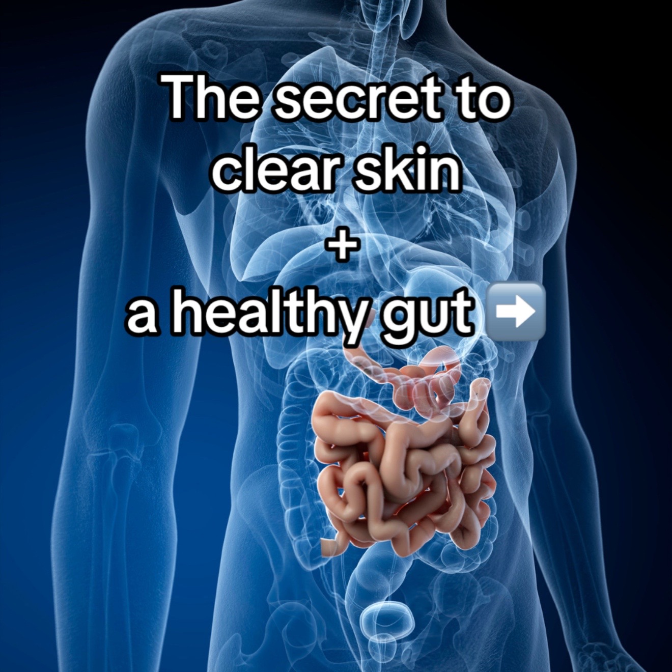 @Gut Health