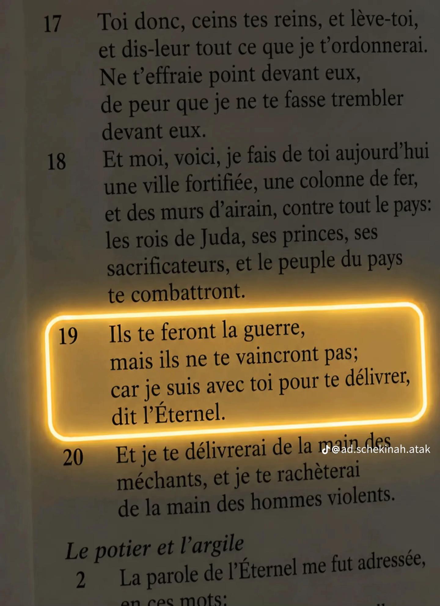 @Steve&ensp;l&eacute;gal&ensp;👑🦅