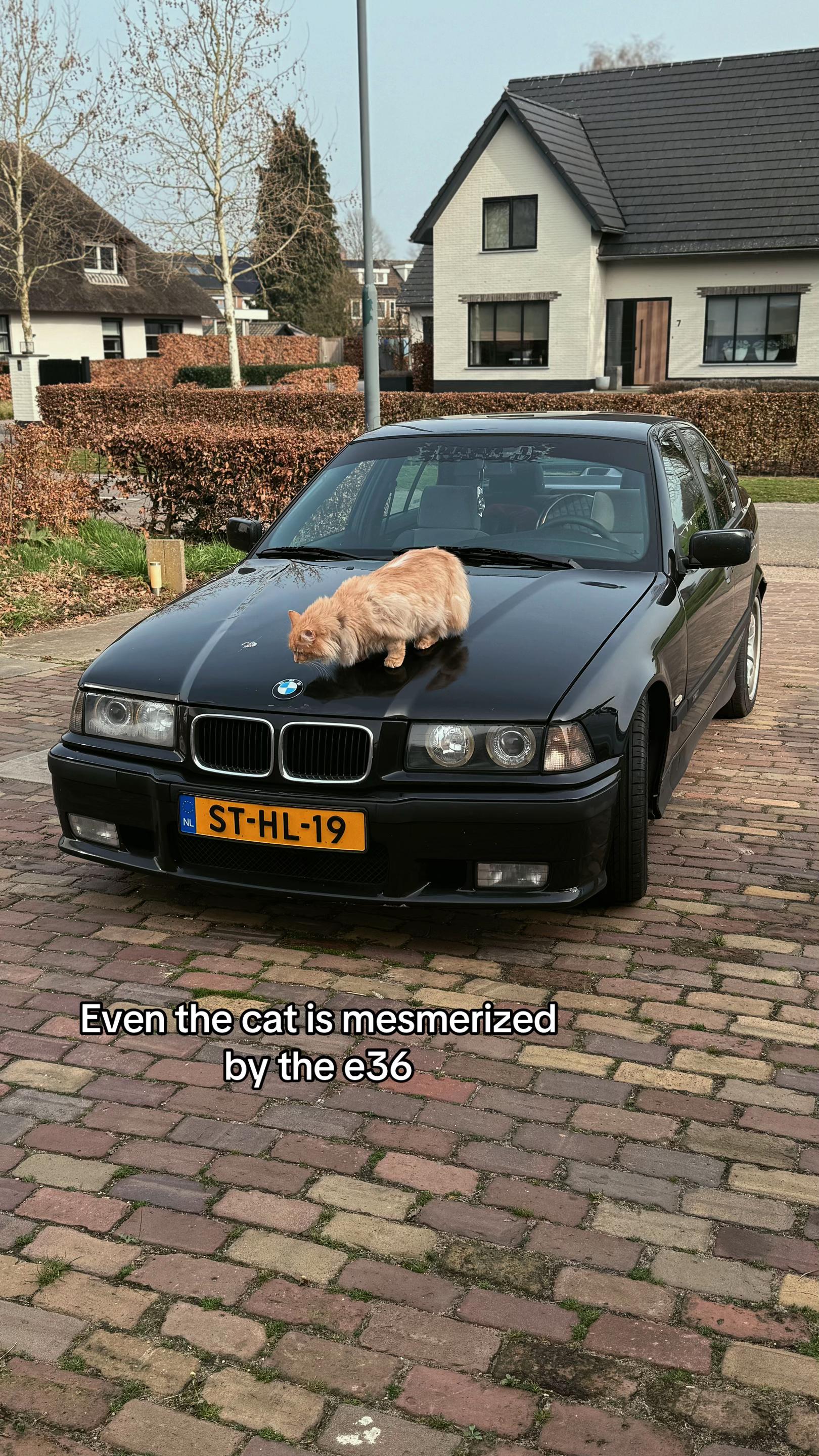 @Nienkevpoorten