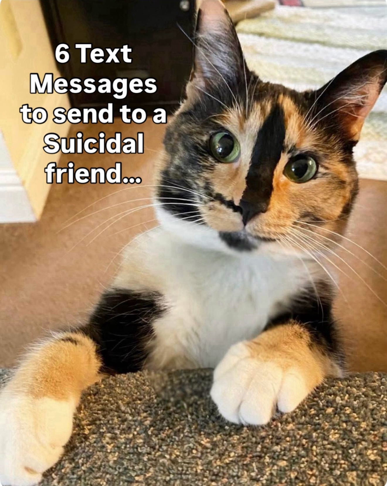 @SnickersTheSmilingCat