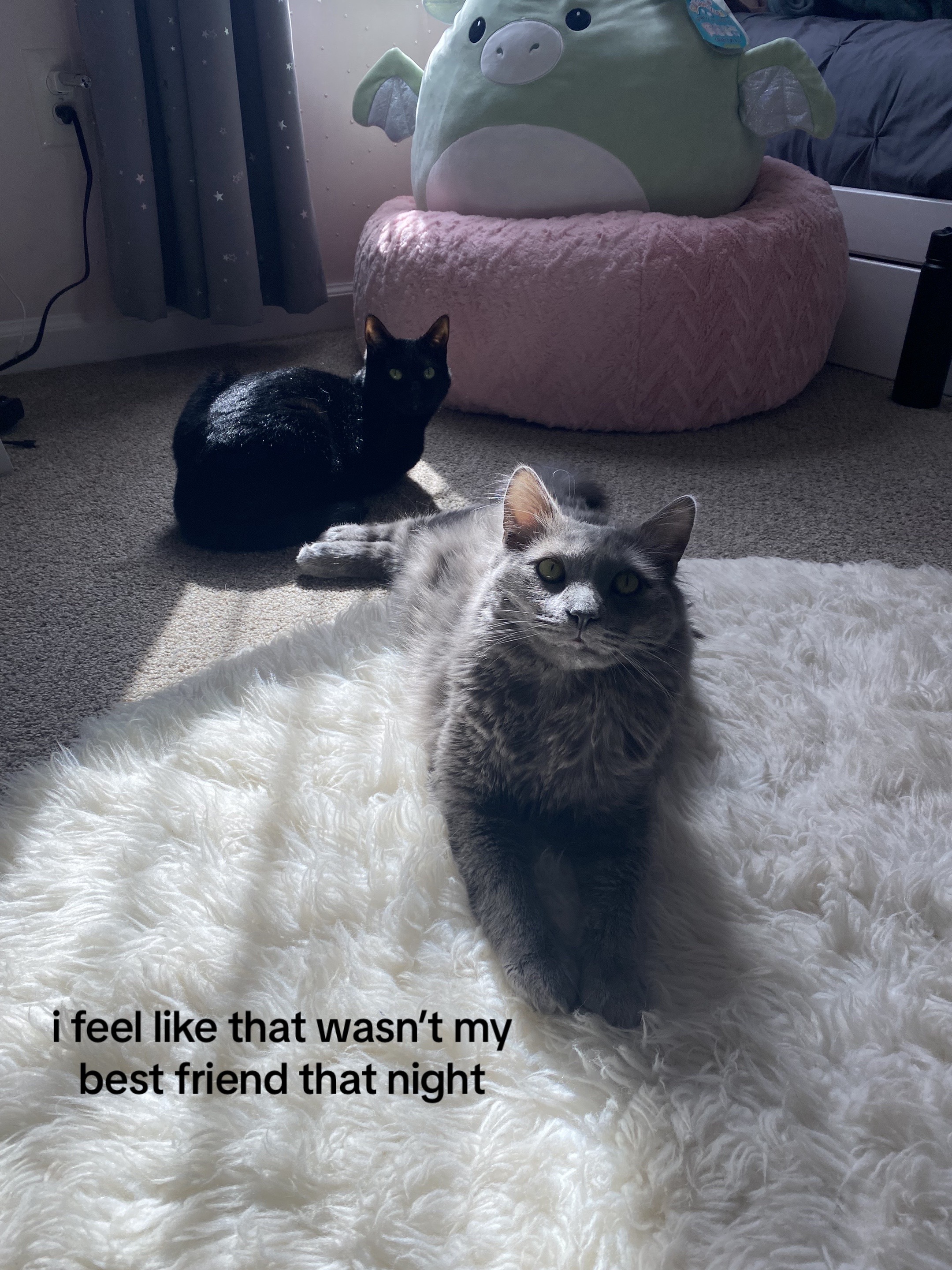 @stephanie🔮🐈⬛🌛