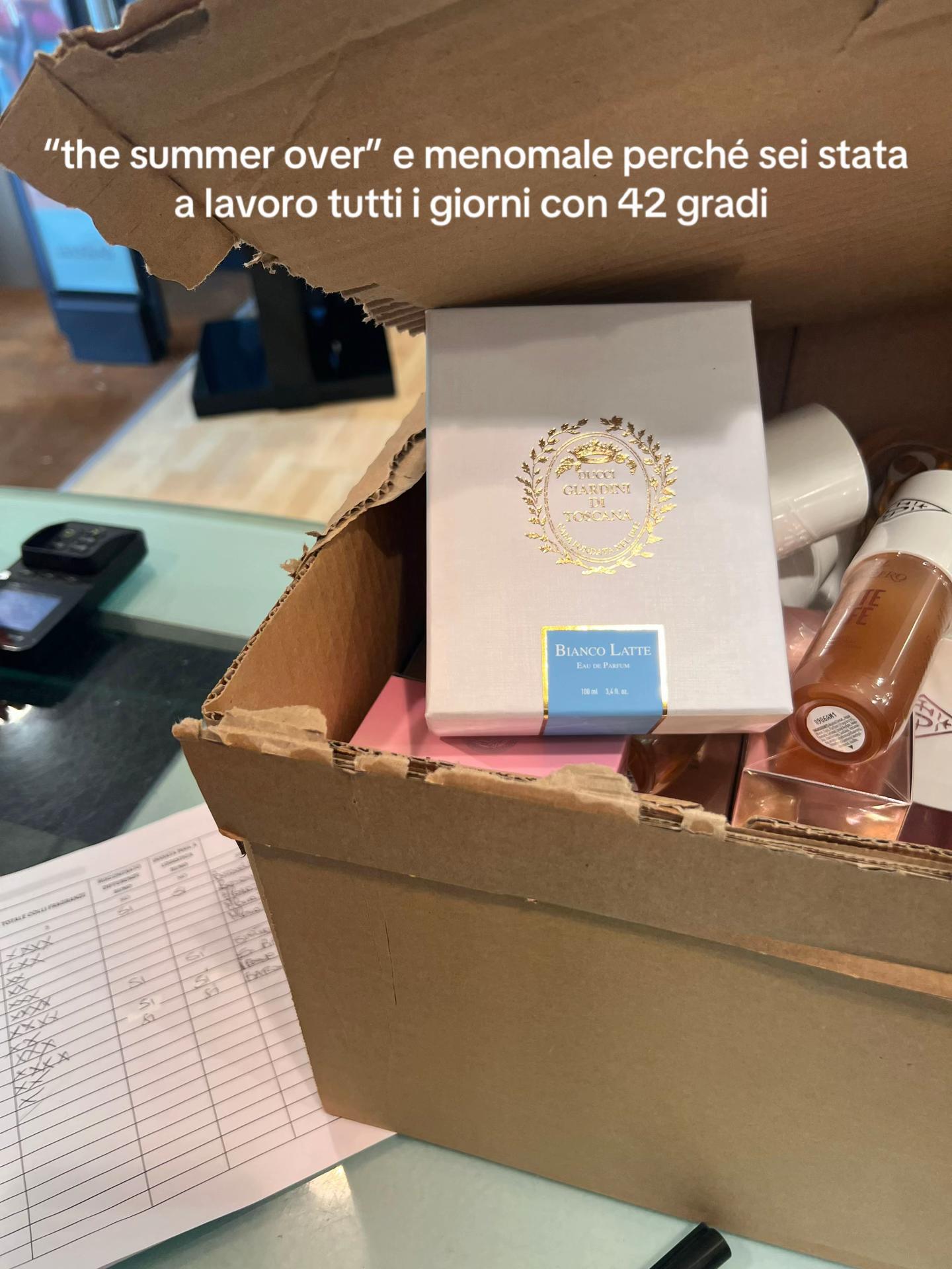 @solidea ciracì ⭐️