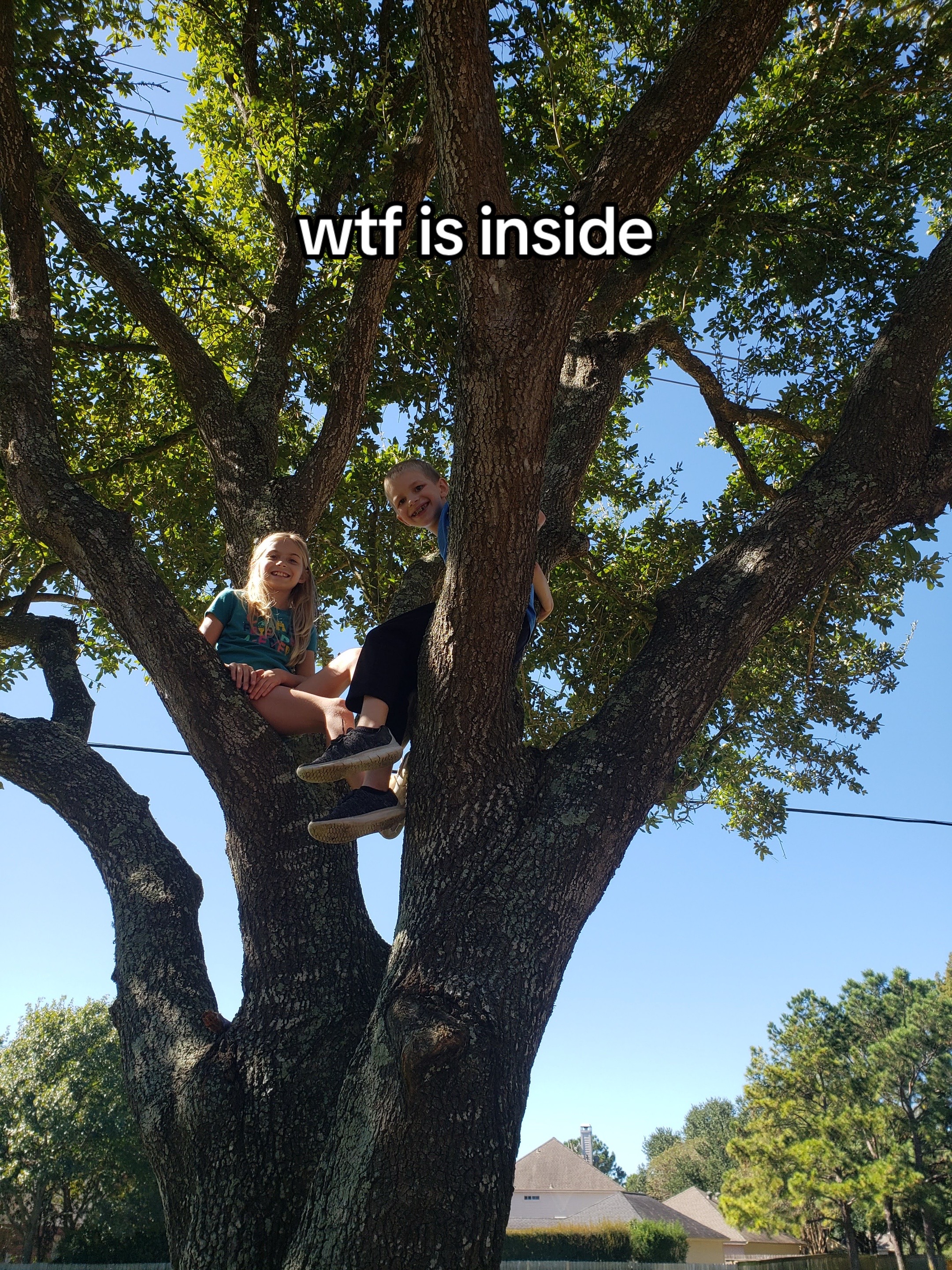 @its.skye