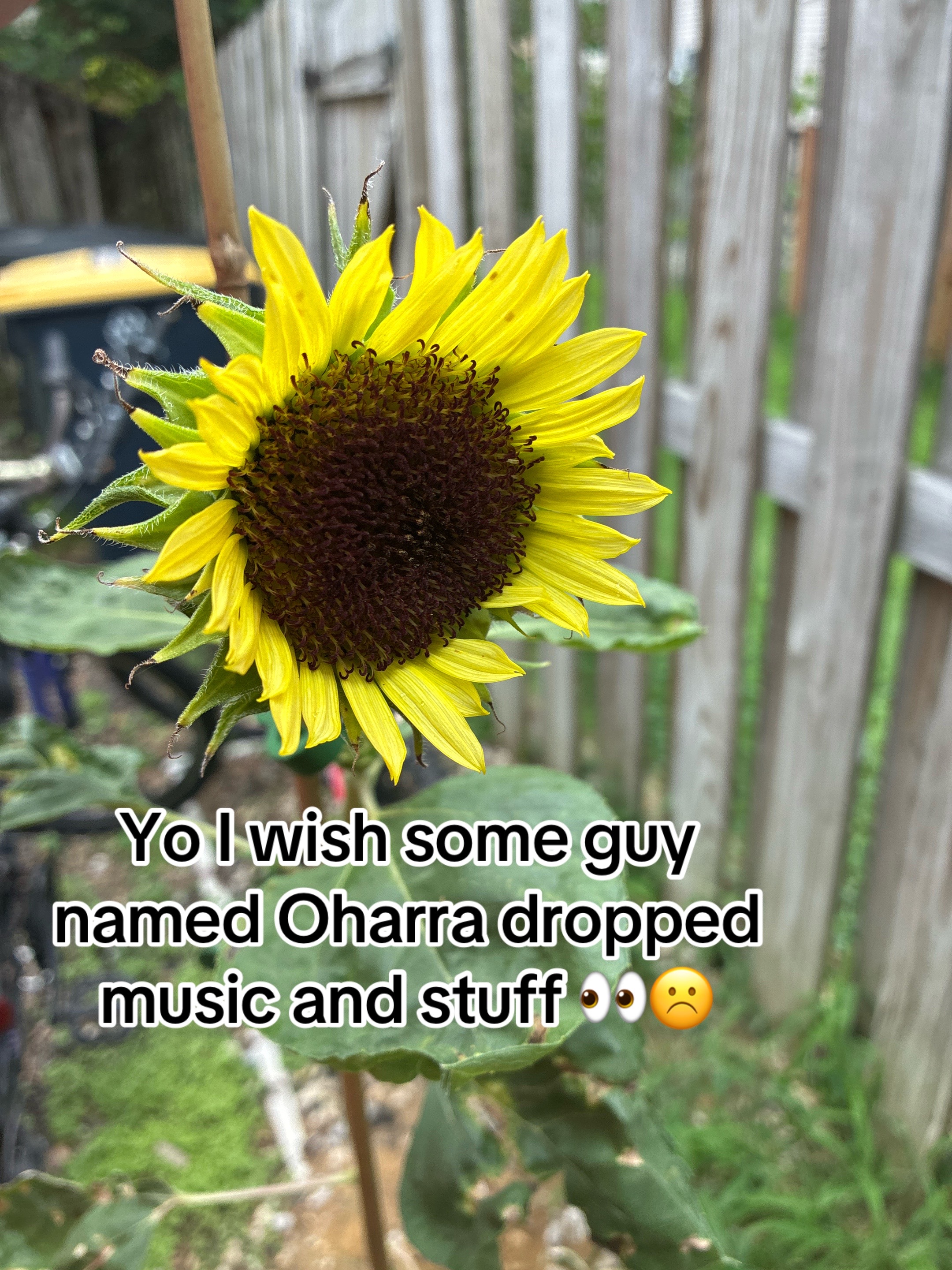 @OHARRA