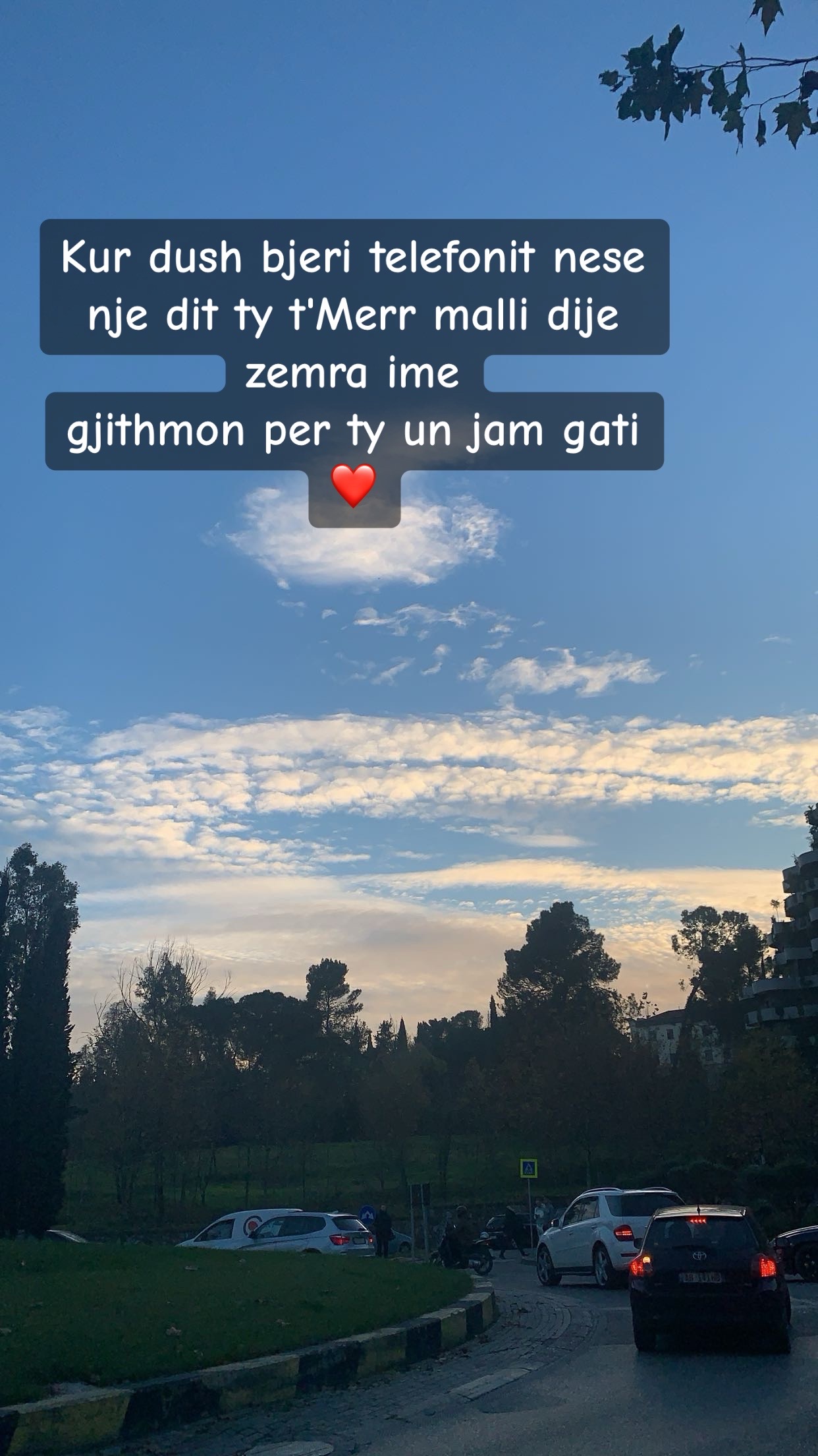 @Syt e tu i kom bo tatoo🥺🤍