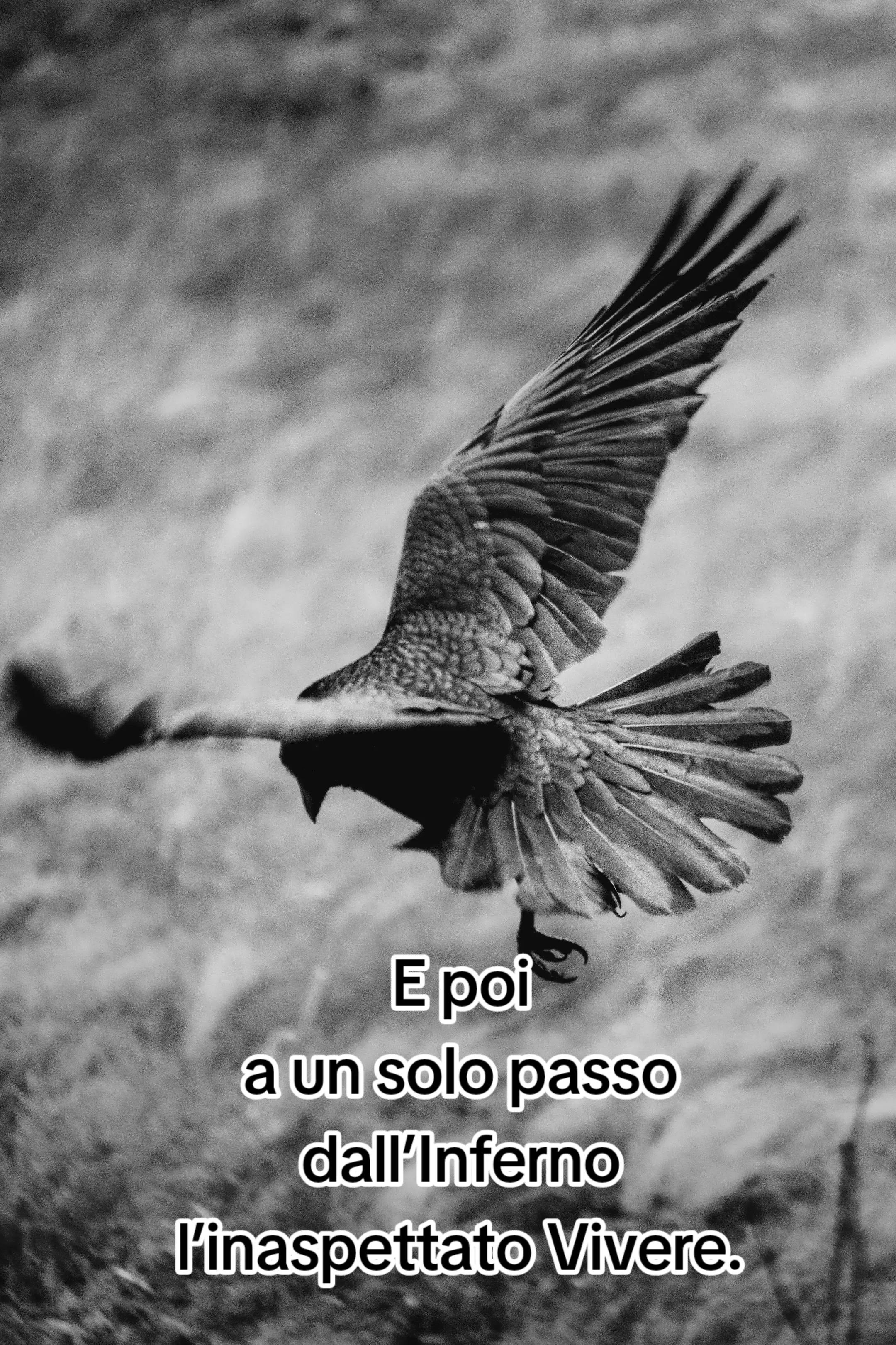 @Nico