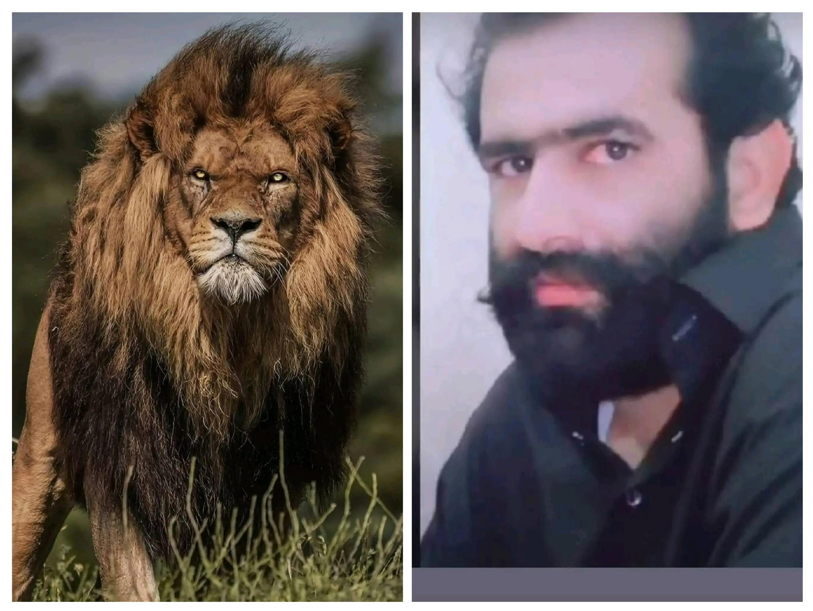 @⛓بسرا مریڑی︻╦デ╤━╼🔪