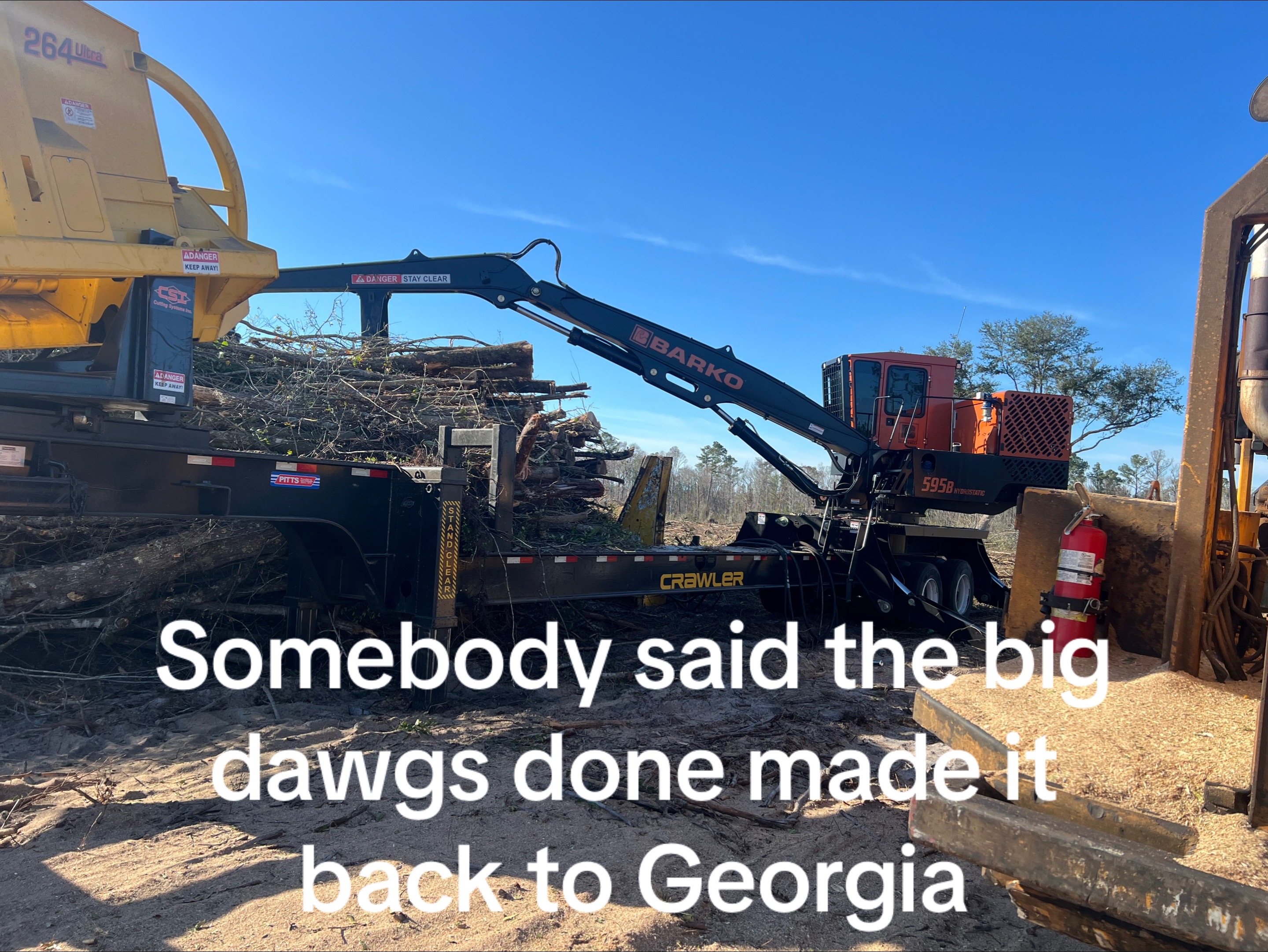 @Logger Duke