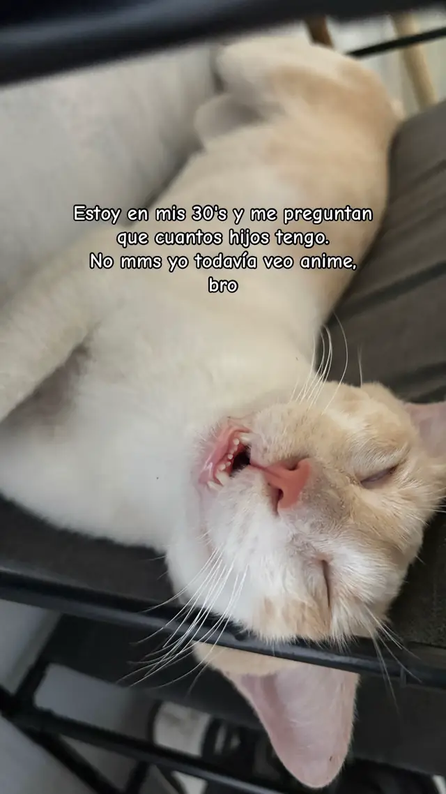 @Sheeran Facundo