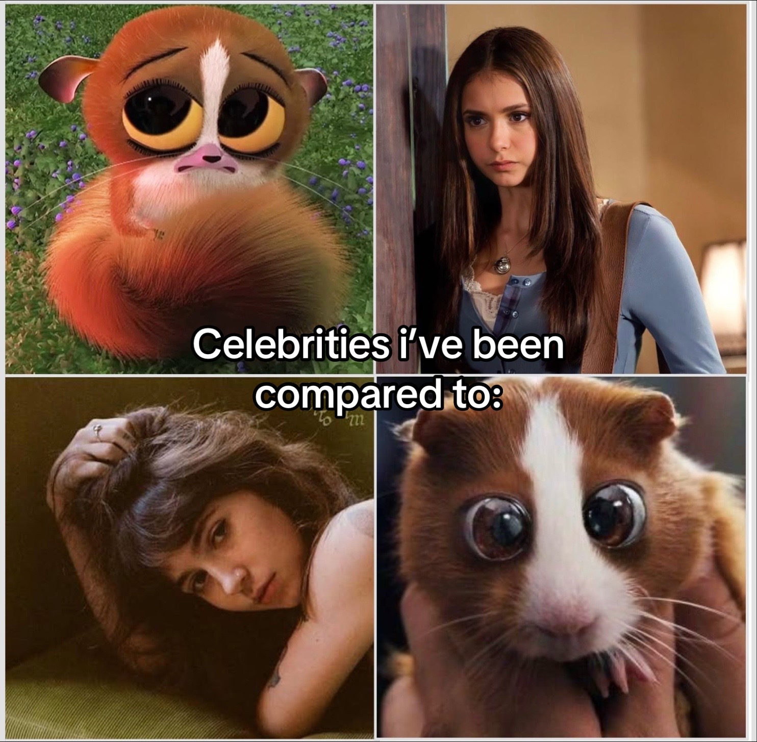 @Cailin