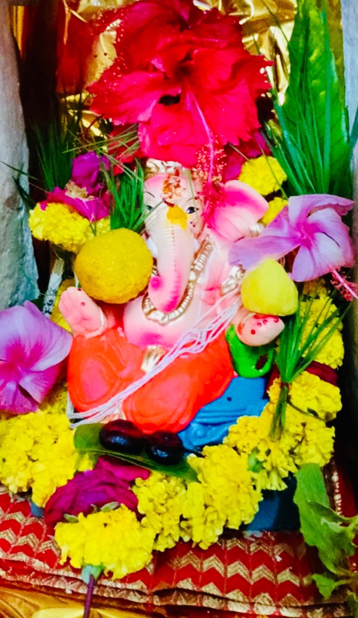 @varshajalnapure1