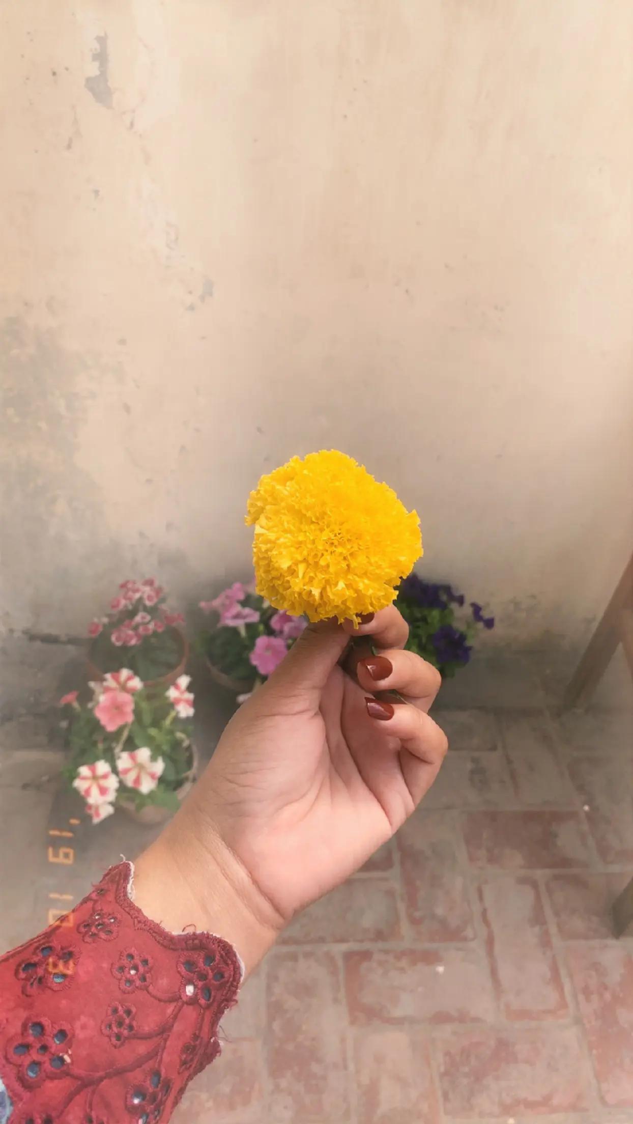 @ز ن ی ر ا 🍂