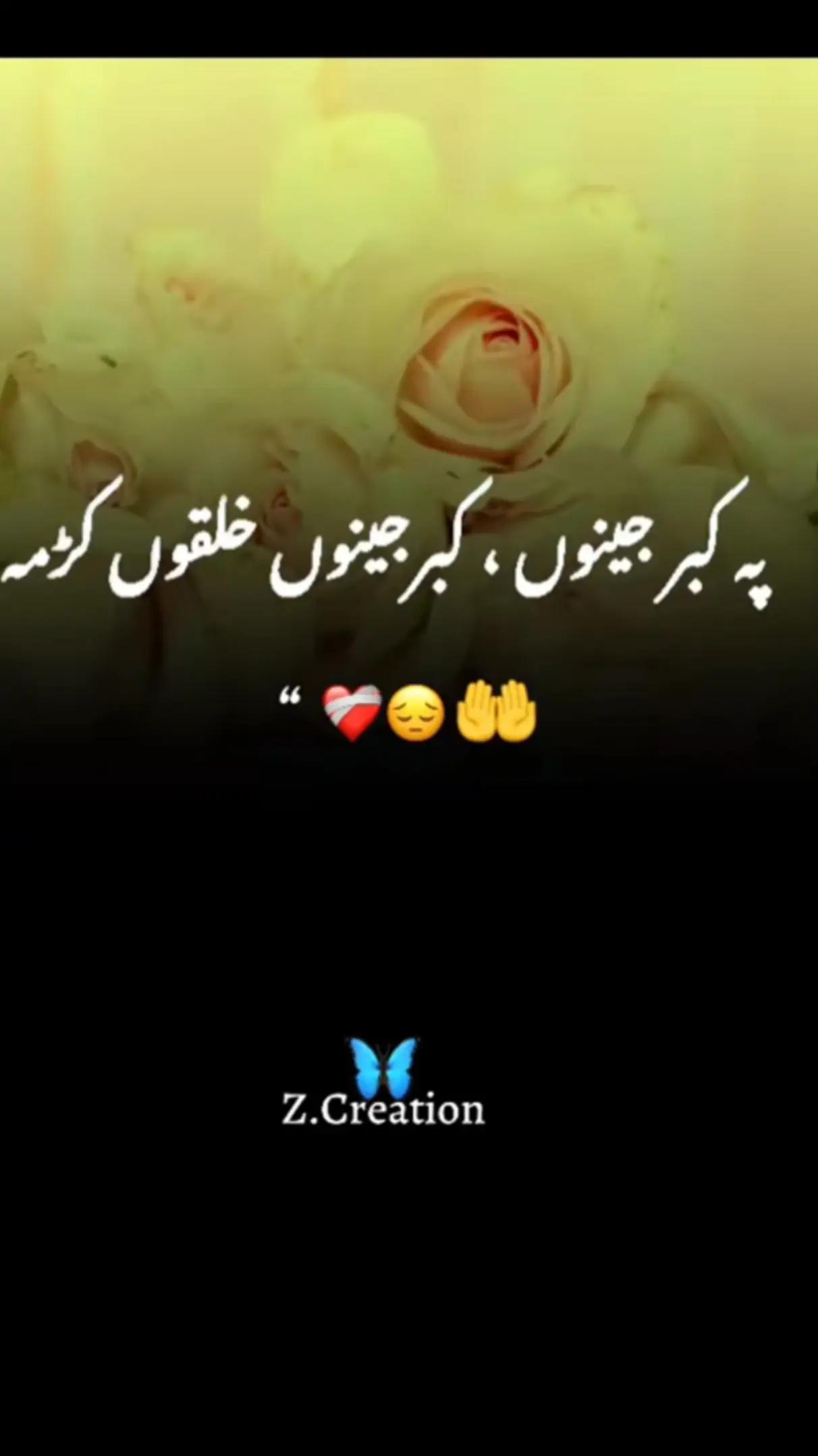 @ALISHBA.