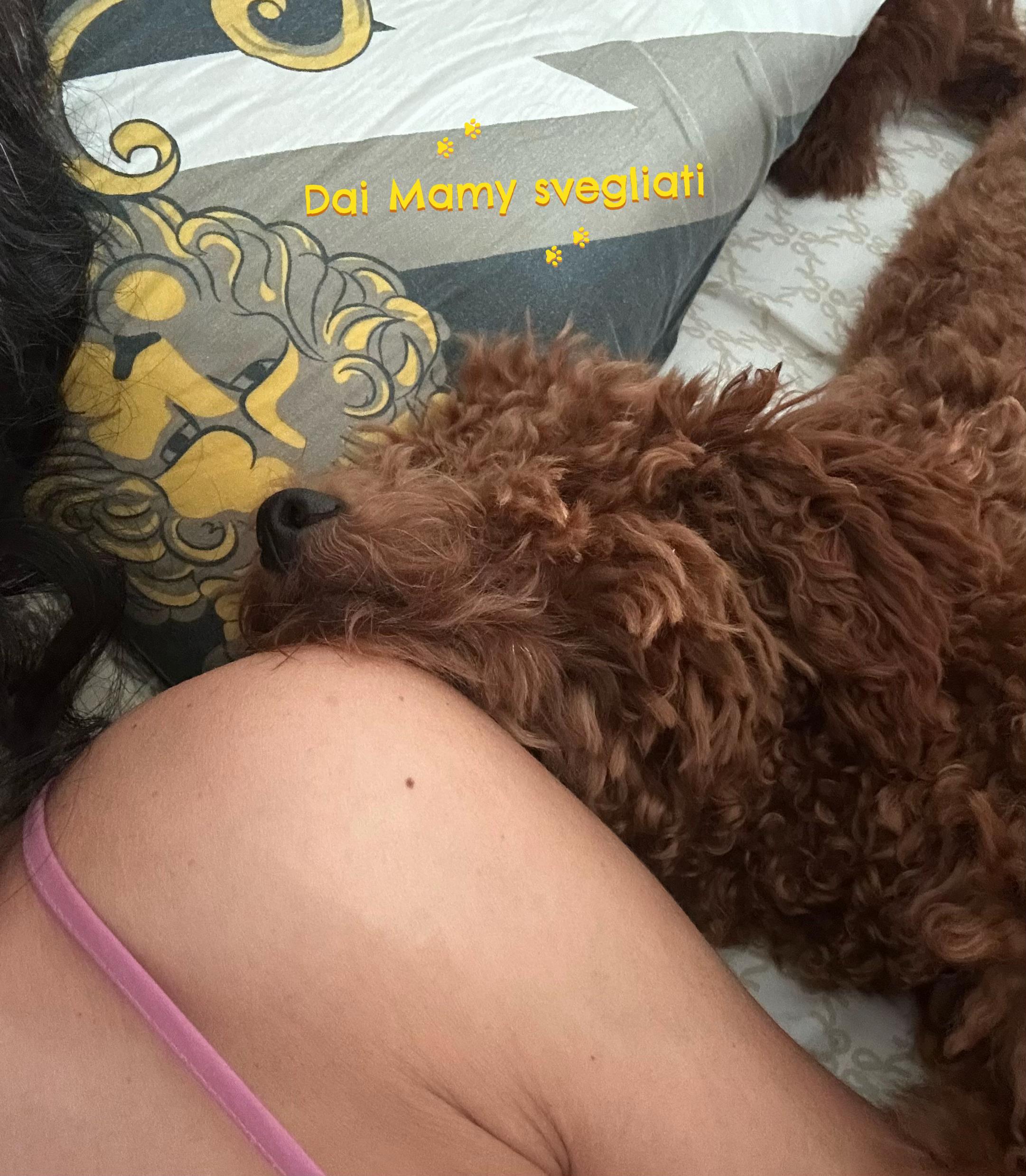 @Chiara e Rey 🐶🤎