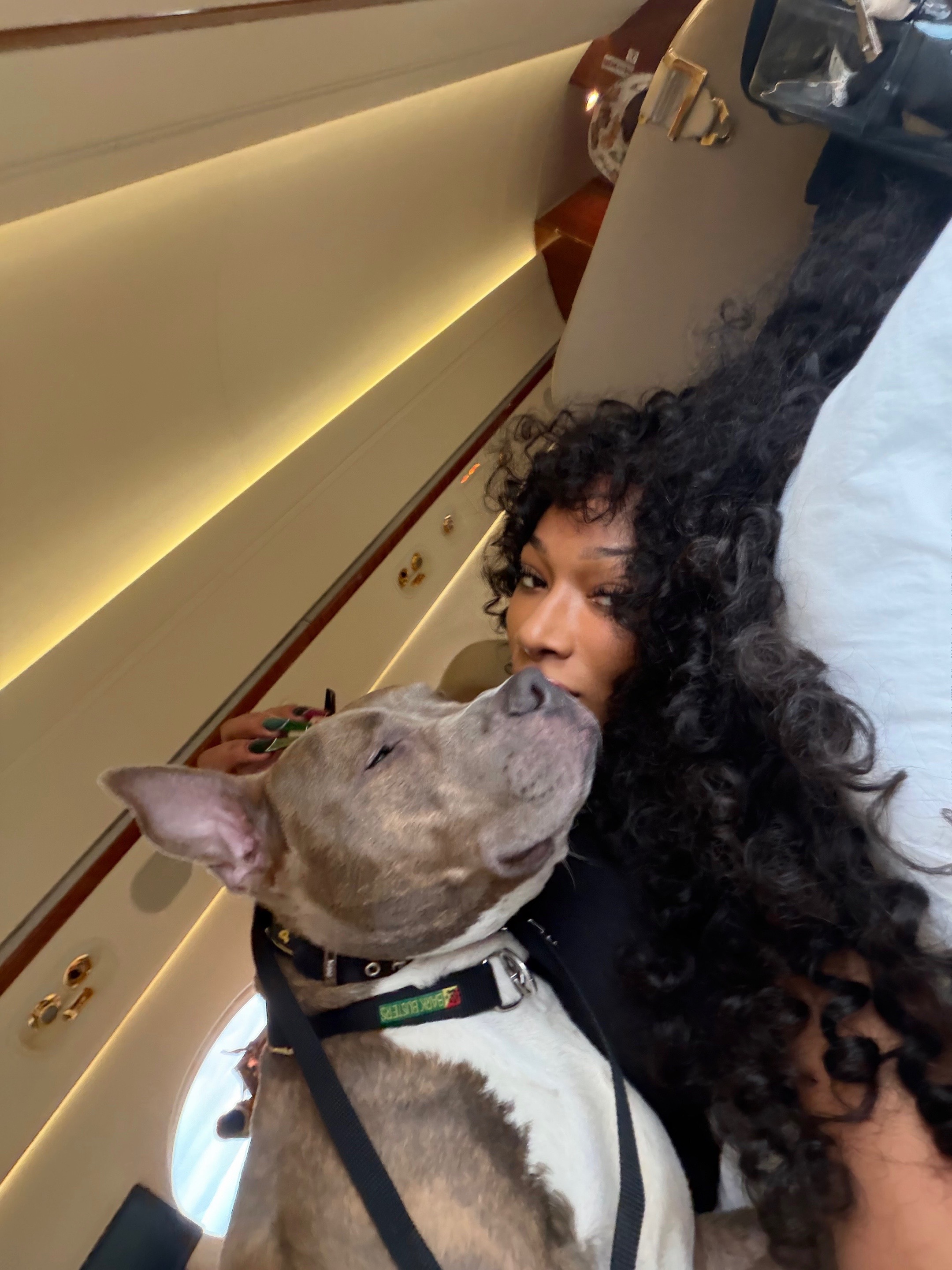 @Megan Thee Stallion