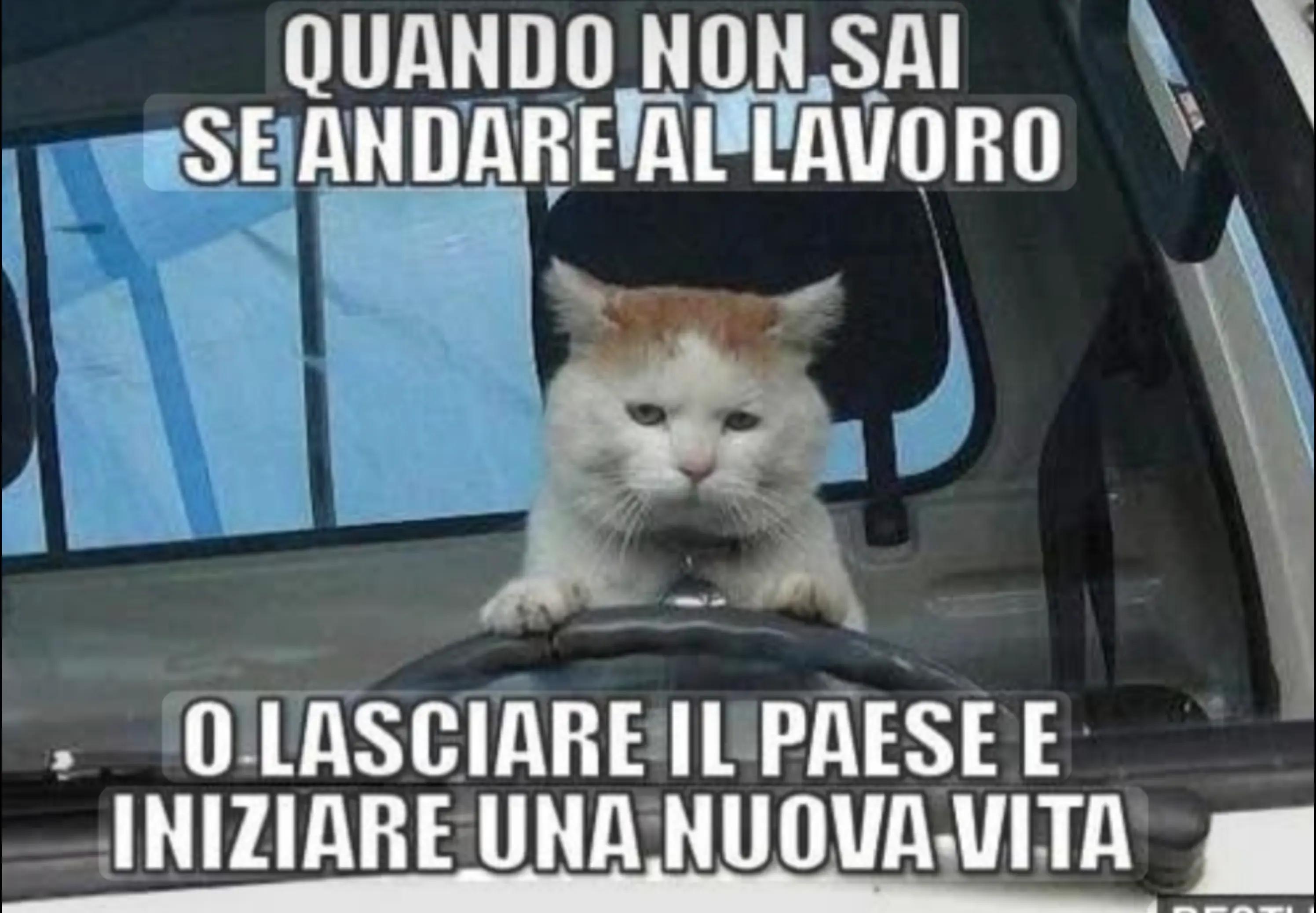 @Chiara Attardo82