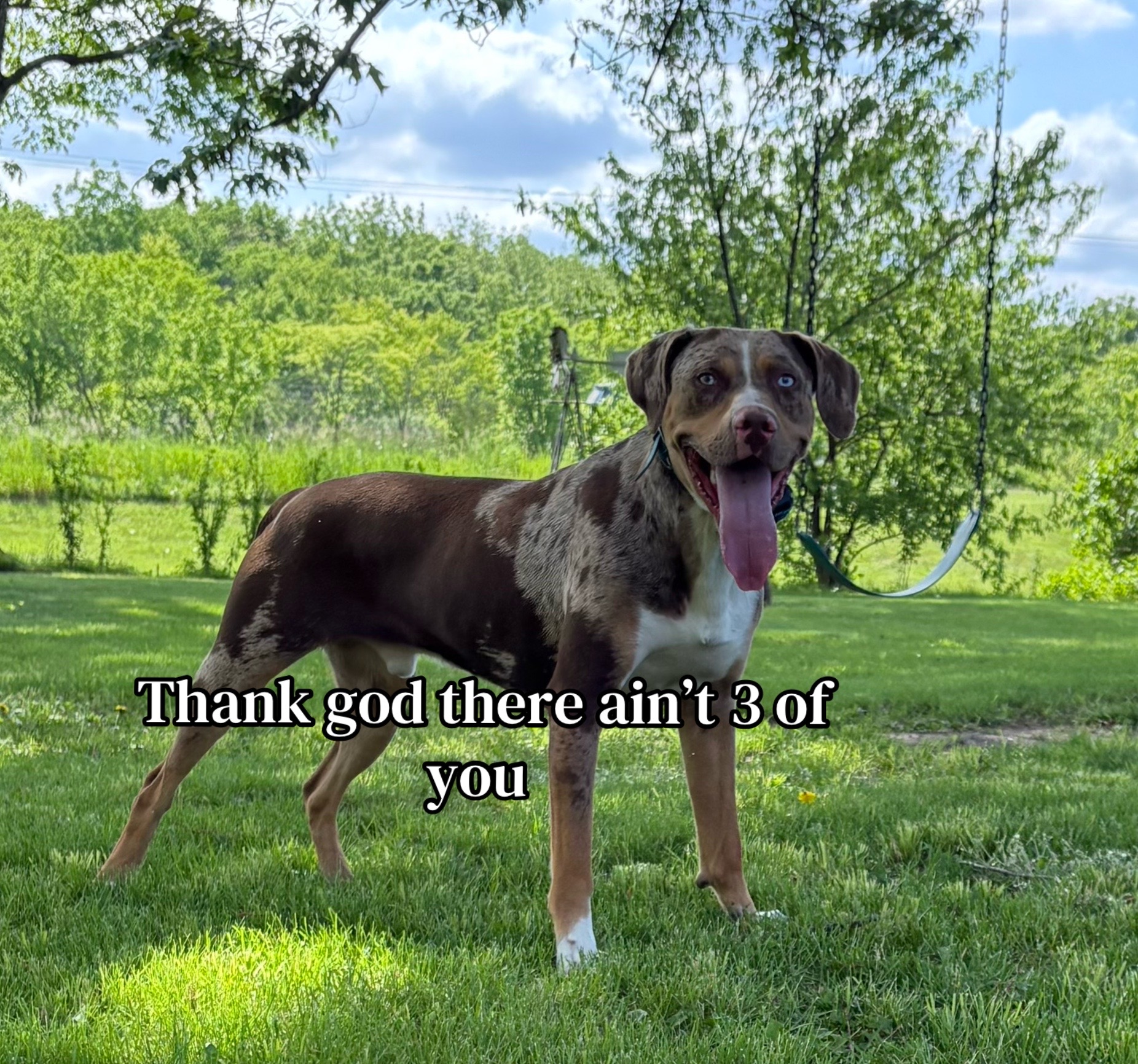 @Waylon