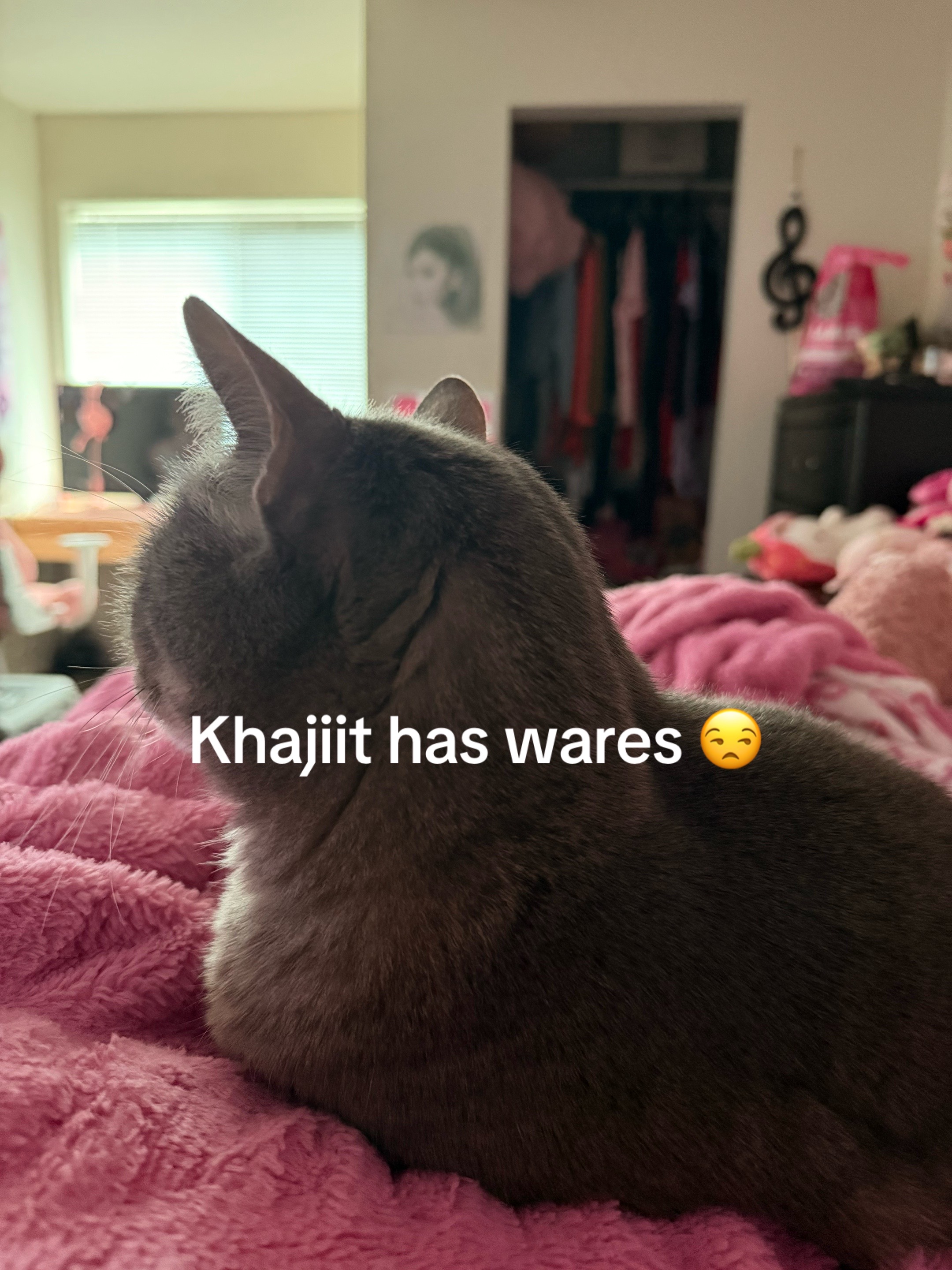 @Ani