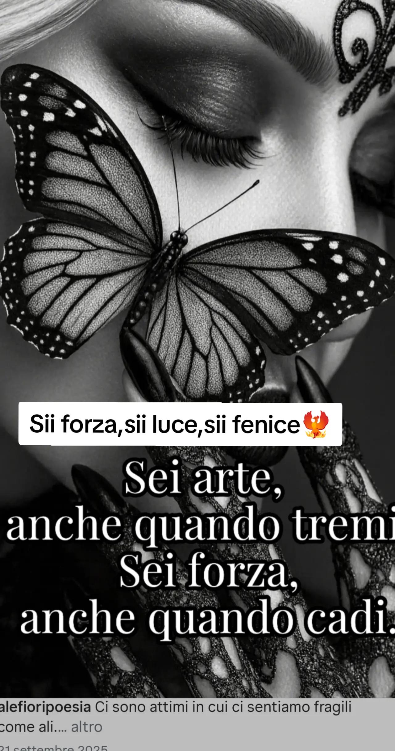 @La fenice🐦🔥