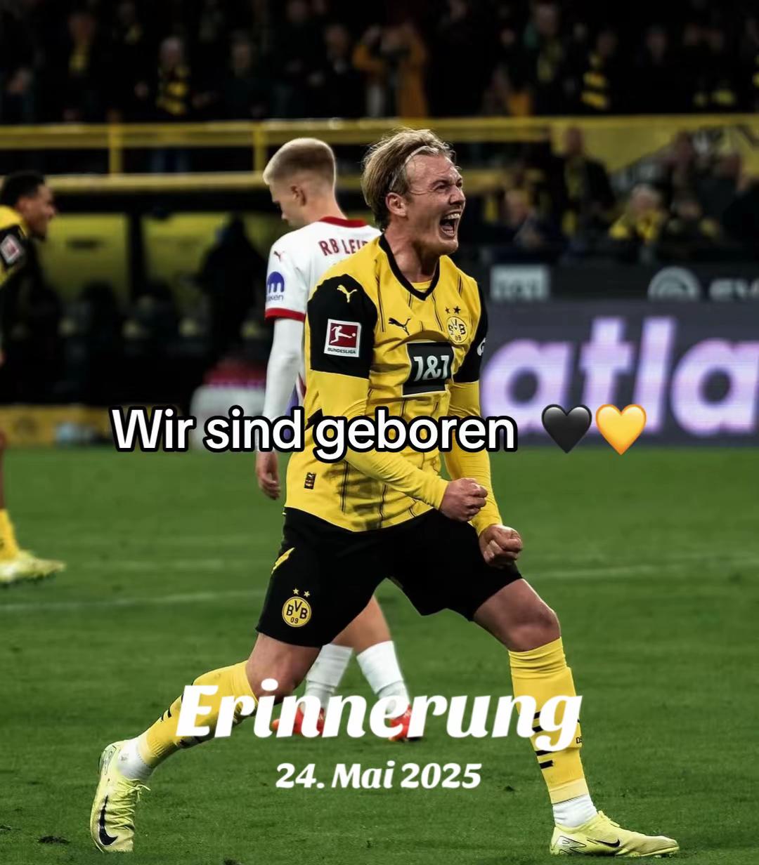 @F&uuml;r immer der BVB 🖤💛🥳JB10❤️