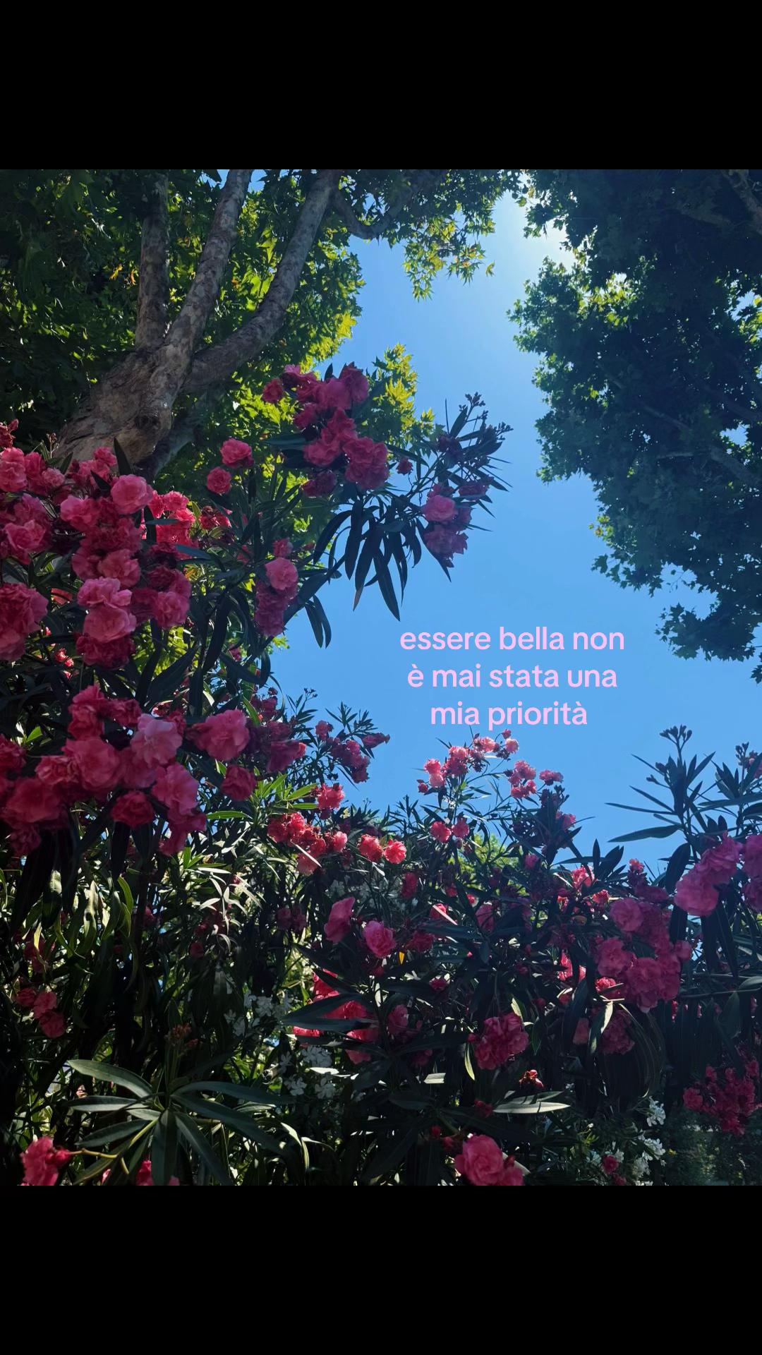 @𝑬𝑳𝑬𝑵𝑨