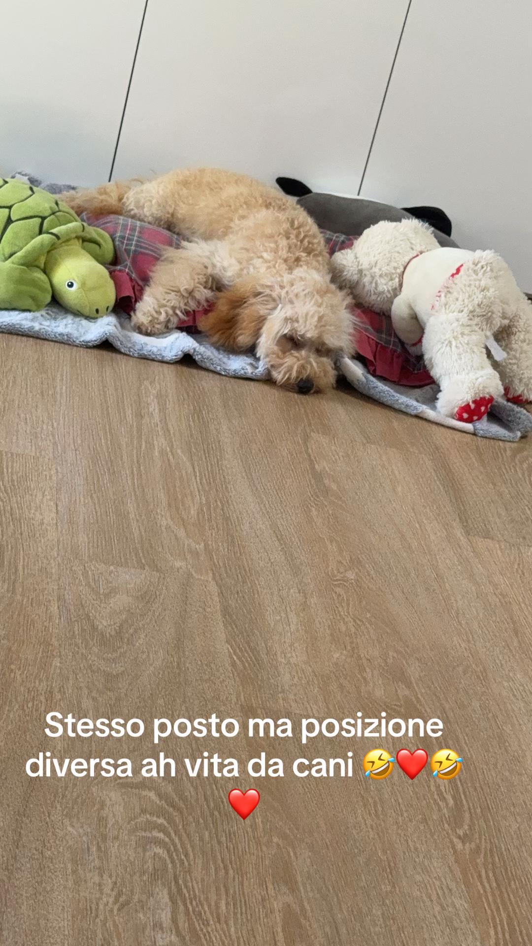 @❤️Antonella❤️