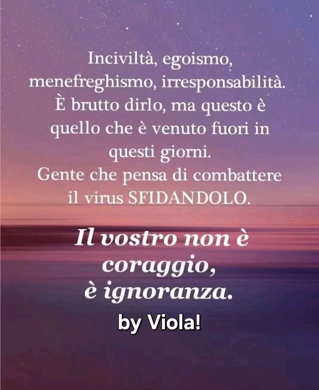 @Viola 8080