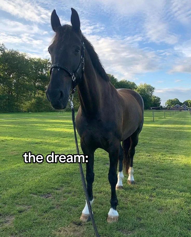 @🩶