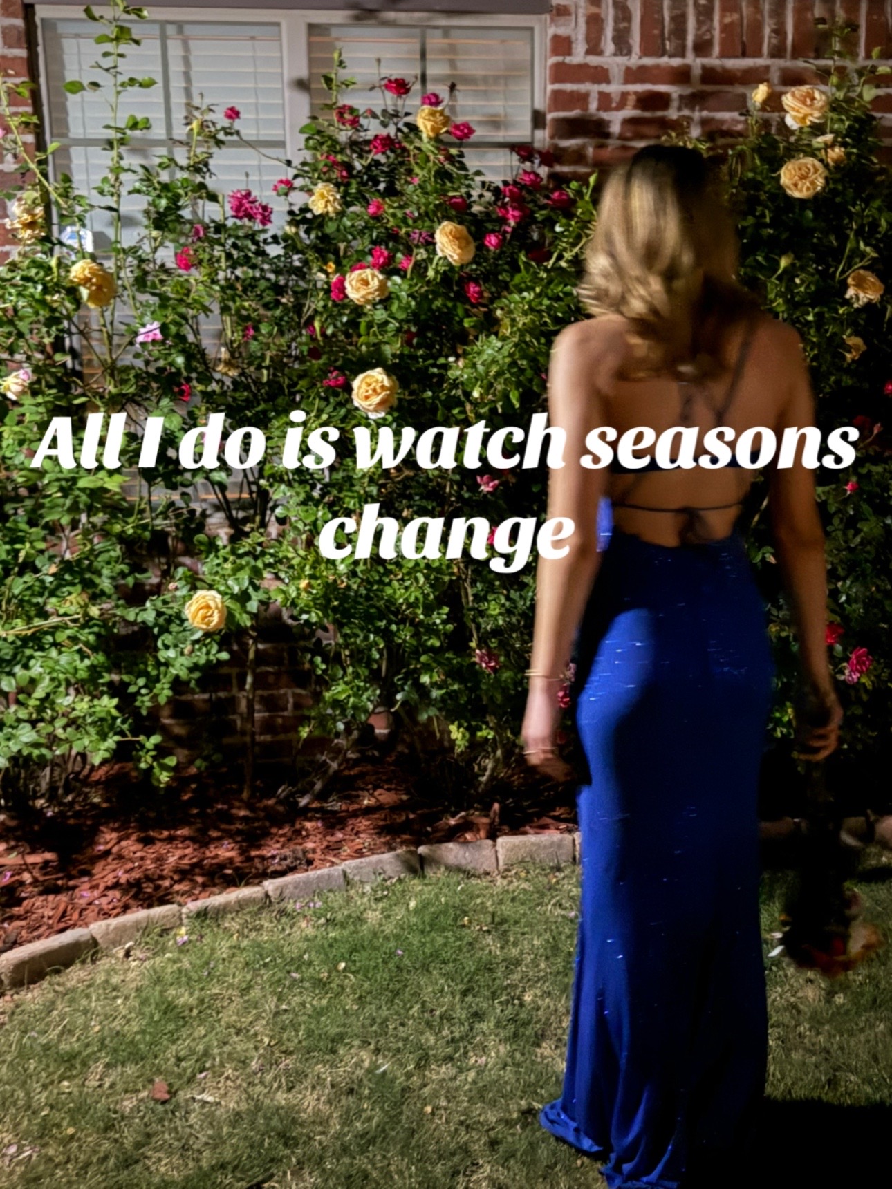 @𝓐𝓻𝓲.