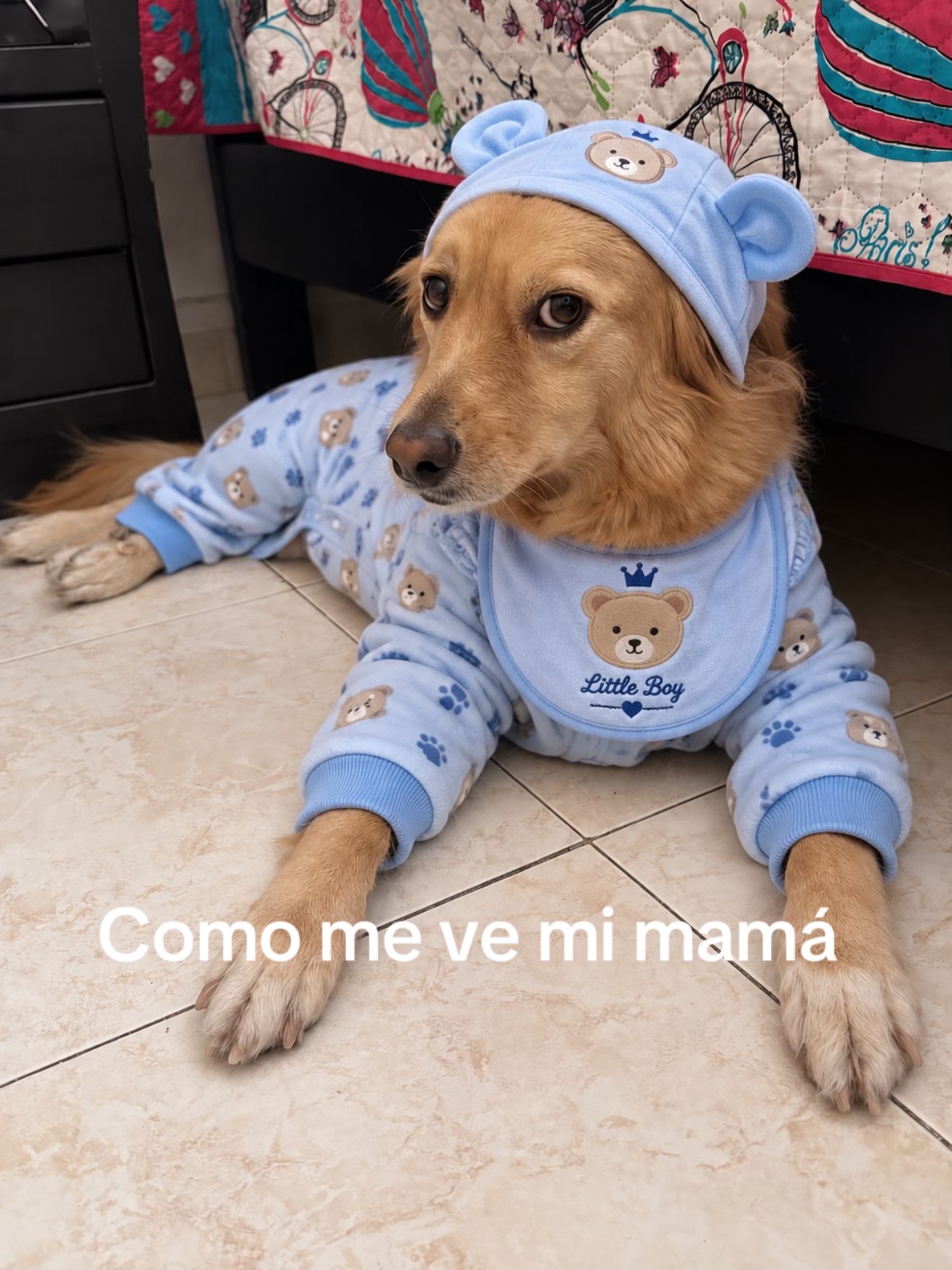 @Sofia Arango UGC💖