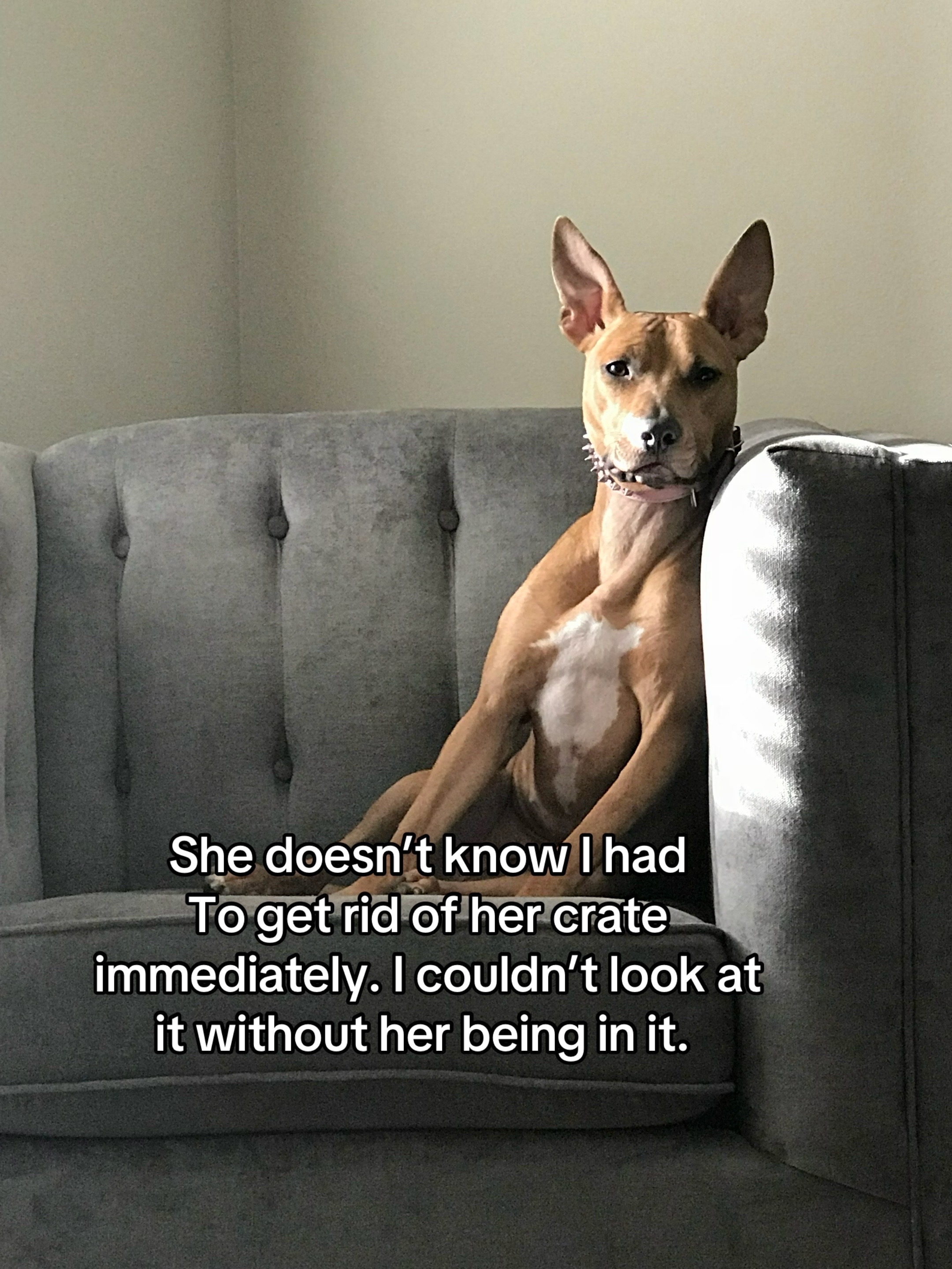@themaryallison