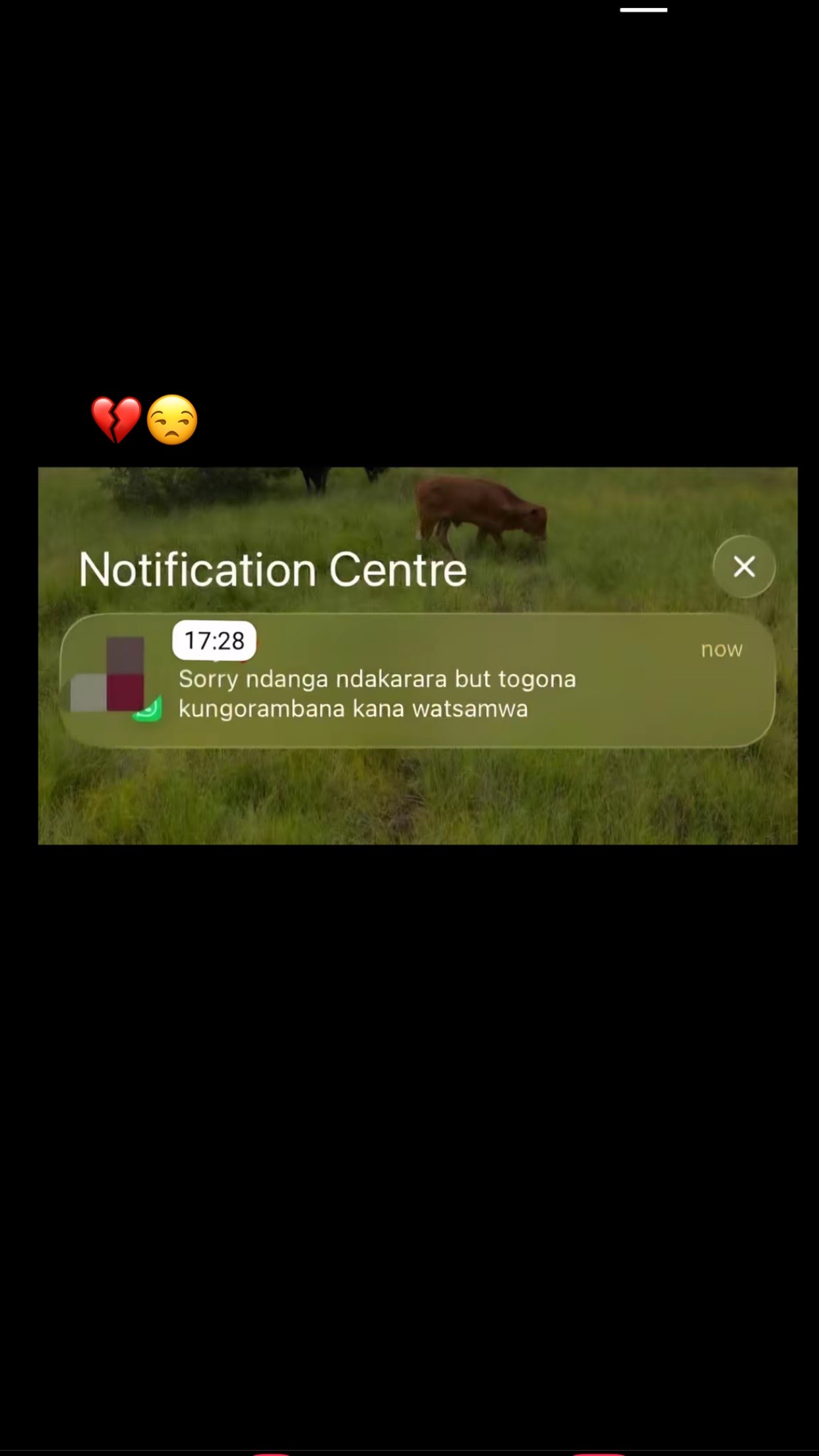 @️NLG🎧