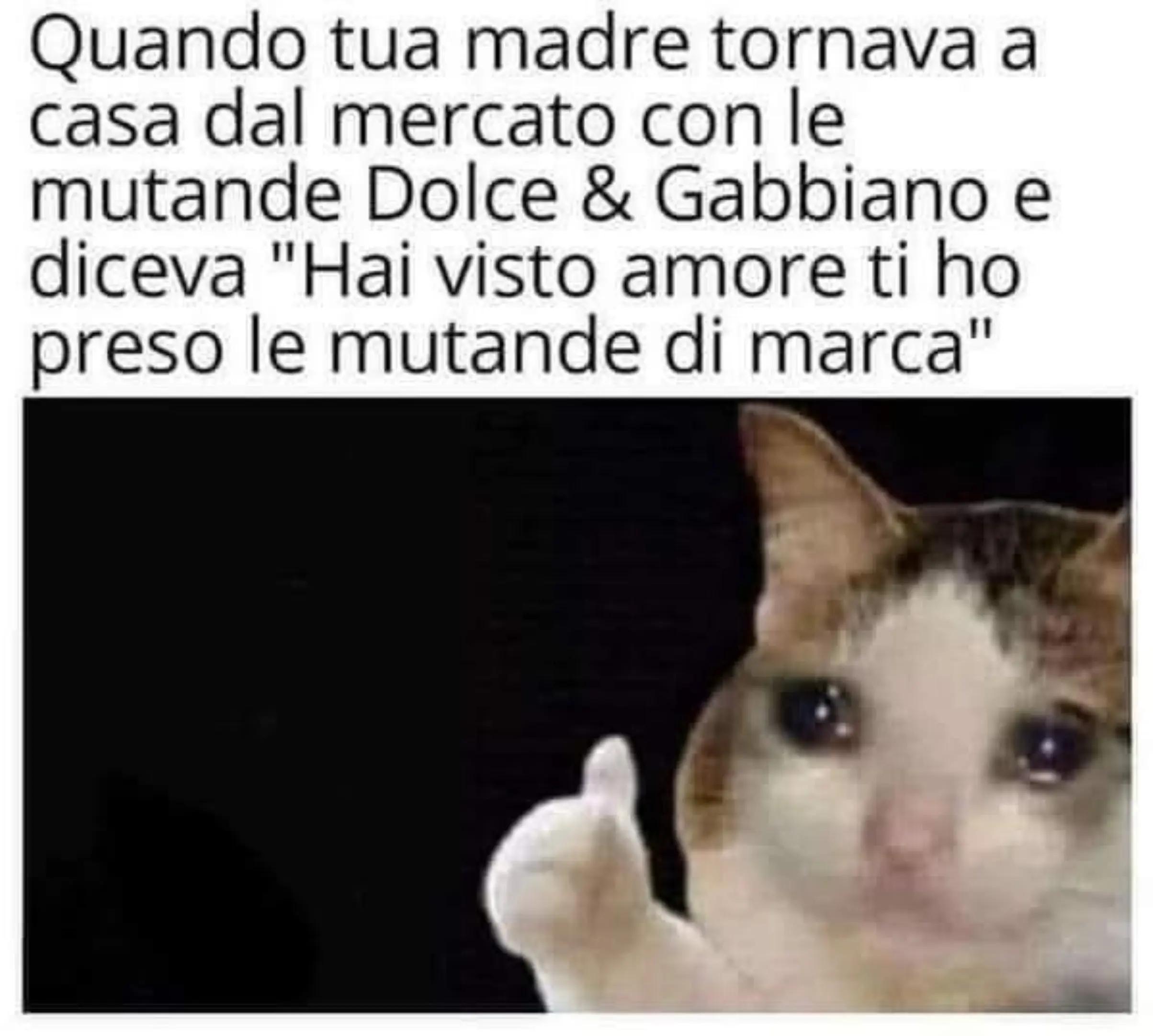 @Loredana♈️ Fioretti🌻🌞🐾🐶