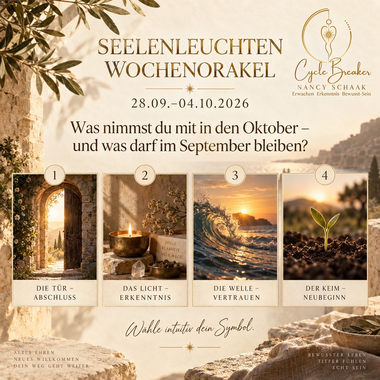 @Nancy_Schaak