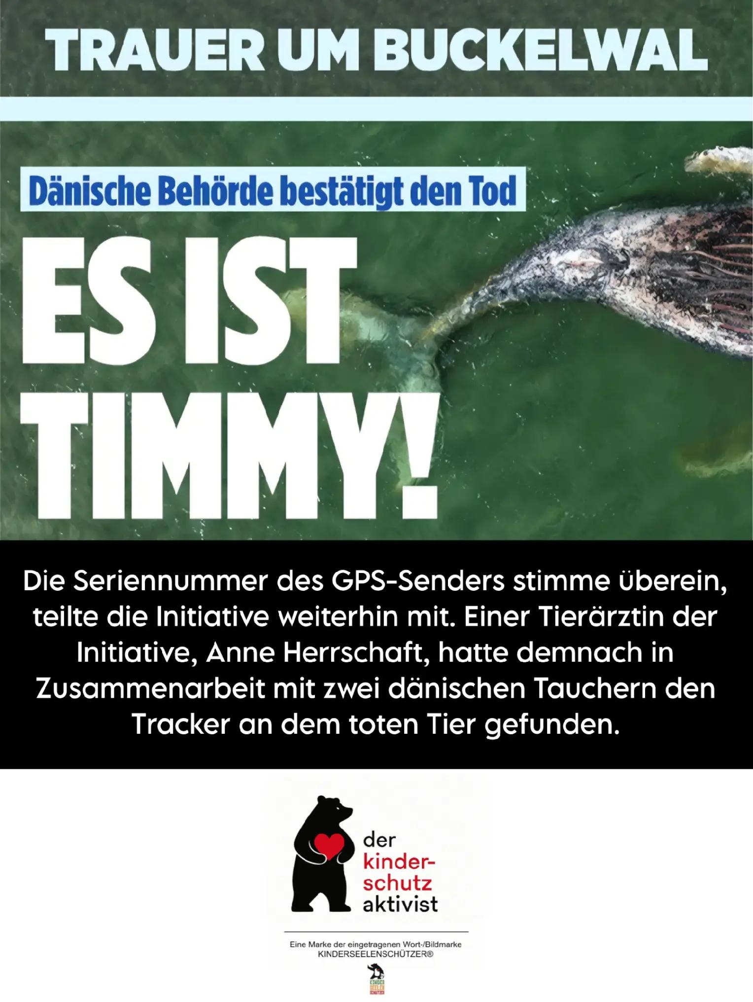 @der_kinderschutzaktivist