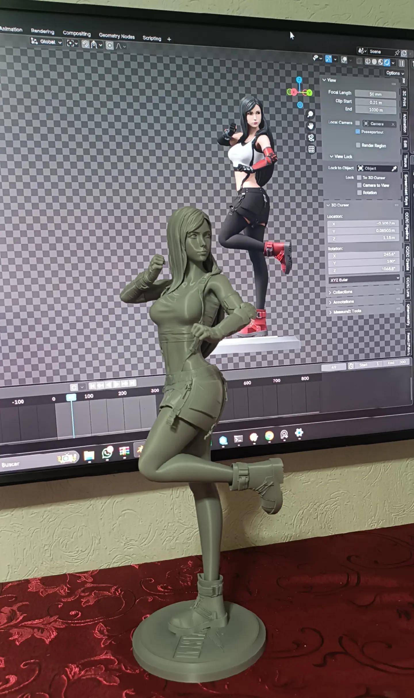 @Caser Impresion 3D