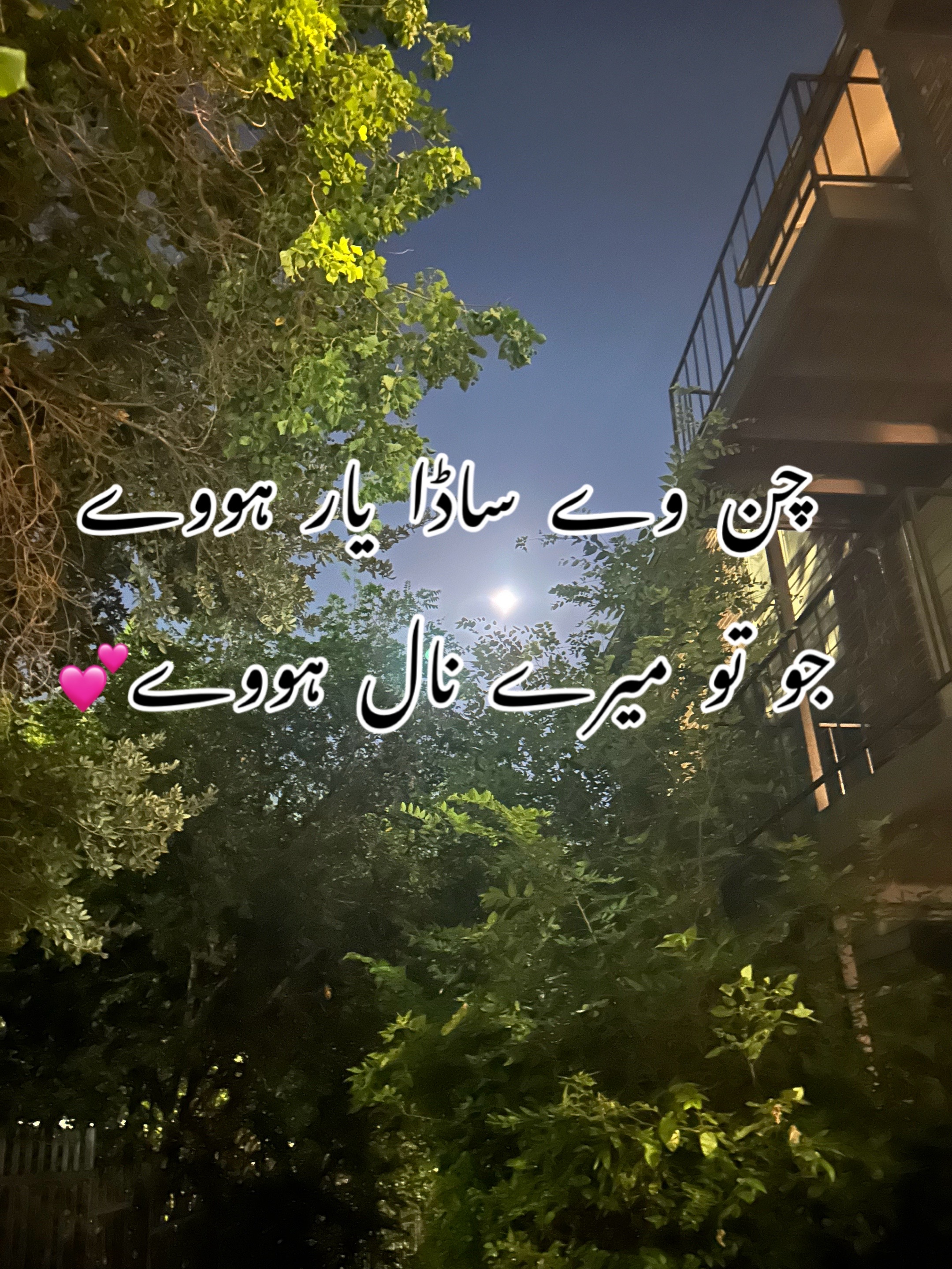 @ZaraHayat020104