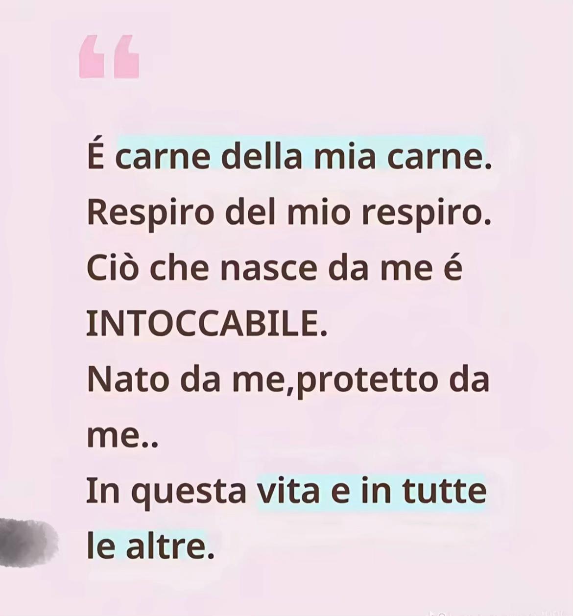 @ferrieri_federica