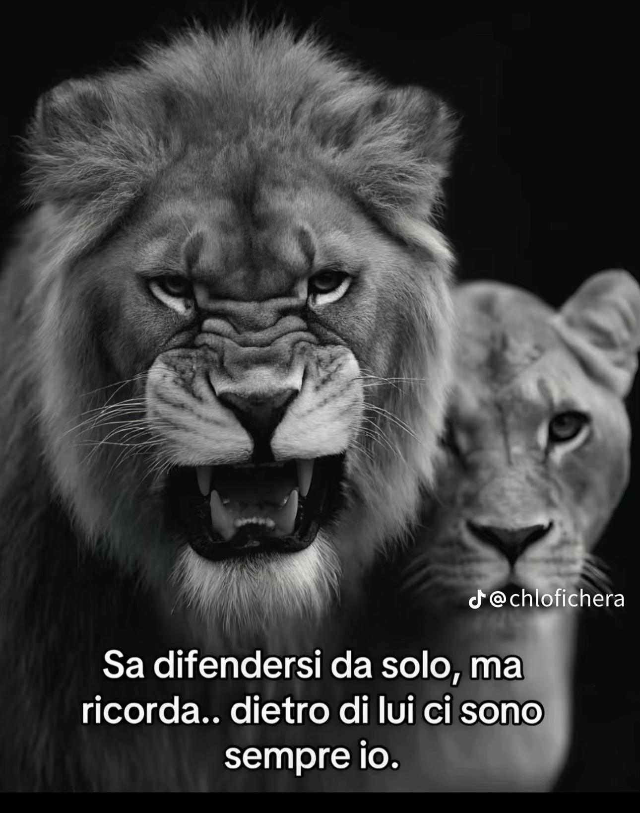 @maccioni.eleonora04
