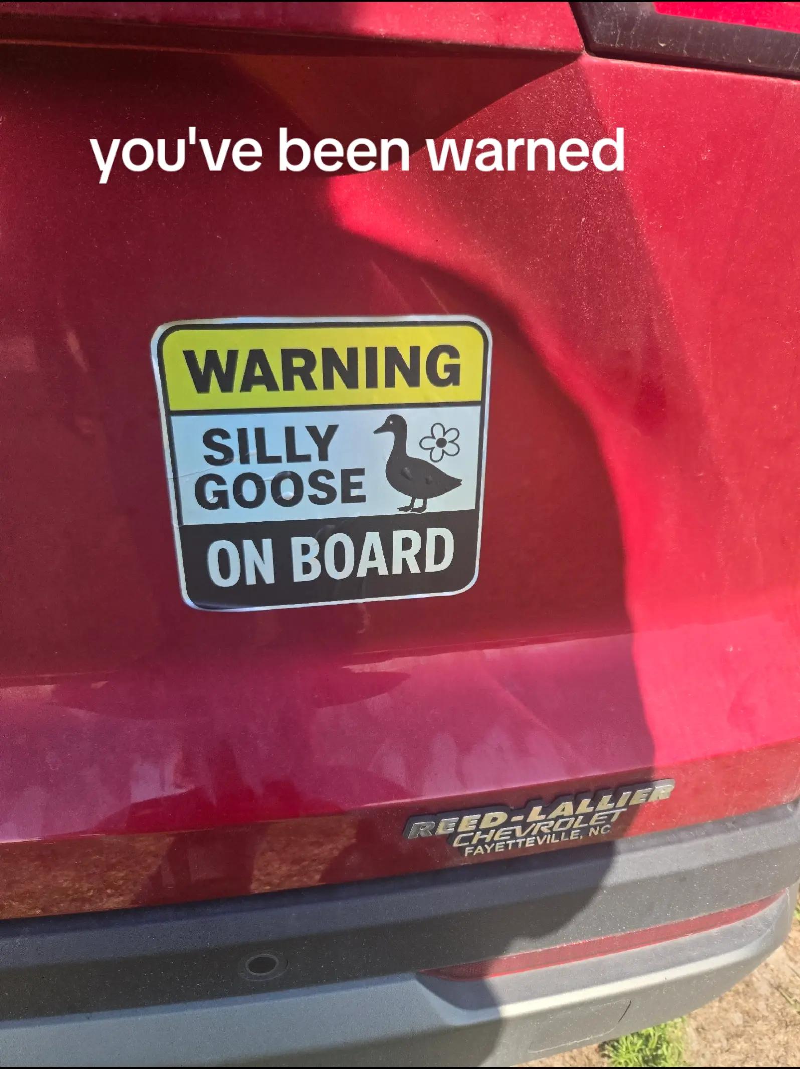 @The Road Trip